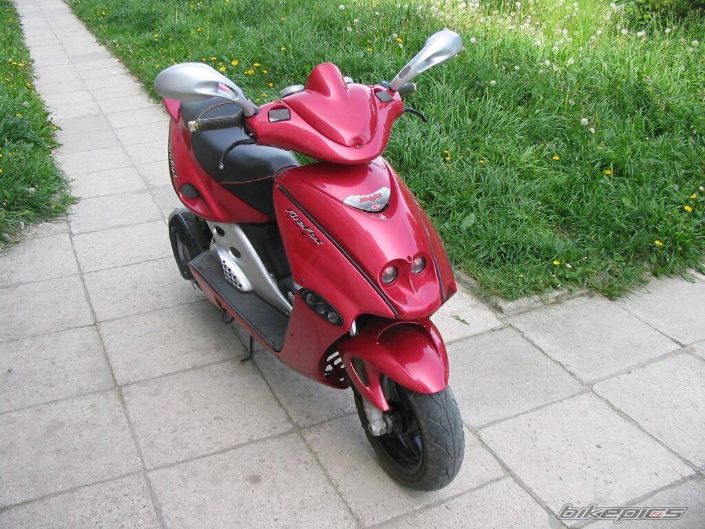 1999 MALAGUTI FIREFOX 50 F15 | Picture 181970 motorcycle photo