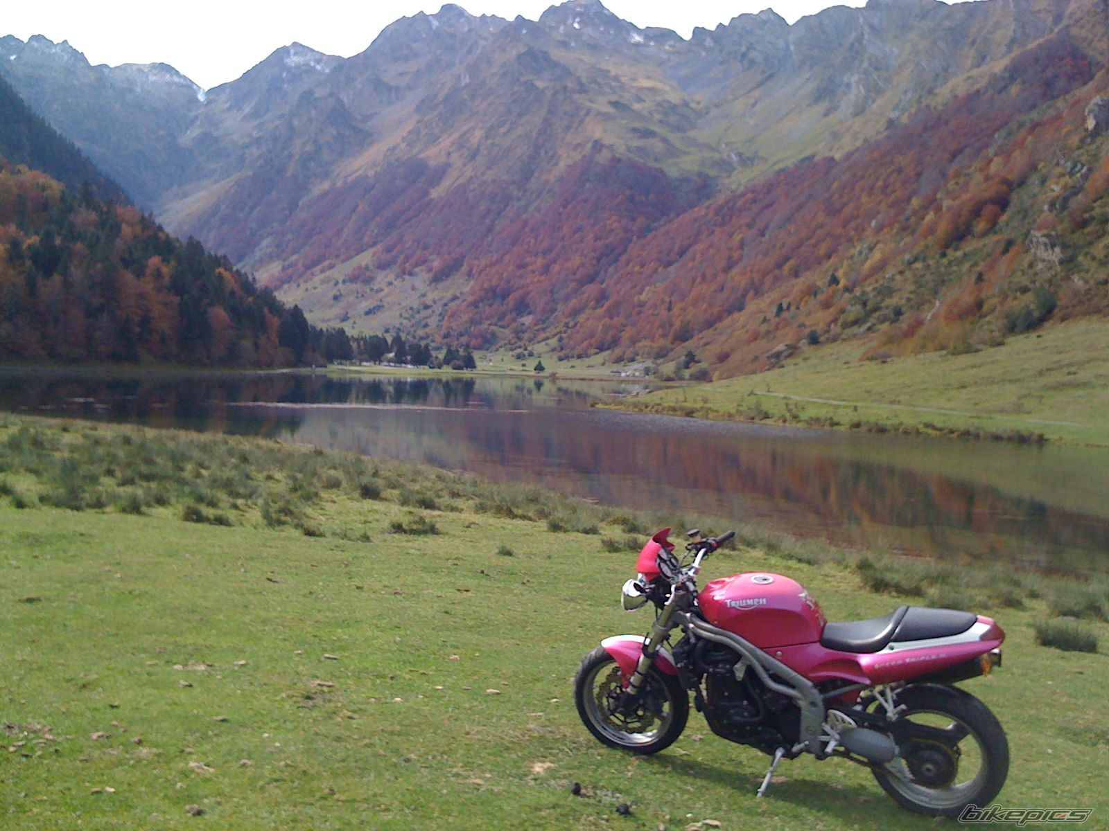 2001 TRIUMPH SPEED TRIPLE | Picture 1820095 motorcycle photo