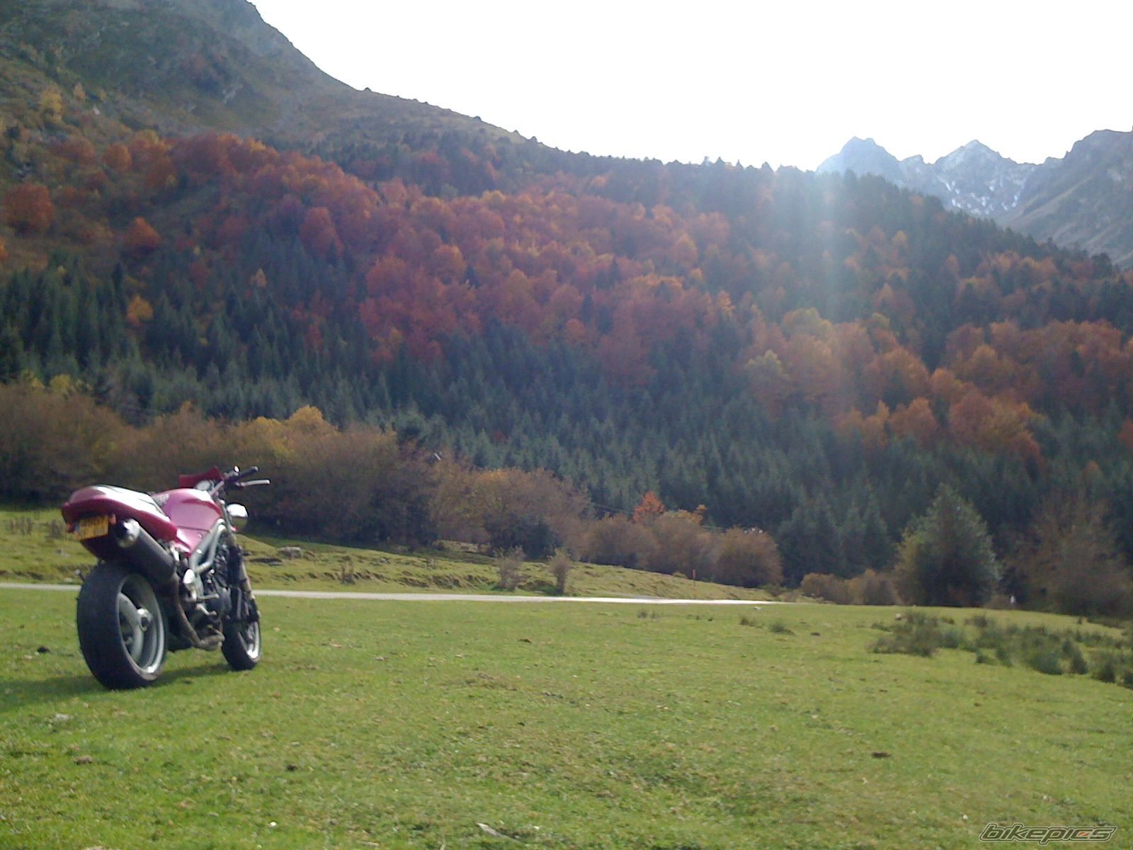 2001 TRIUMPH SPEED TRIPLE | Picture 1820096 motorcycle photo