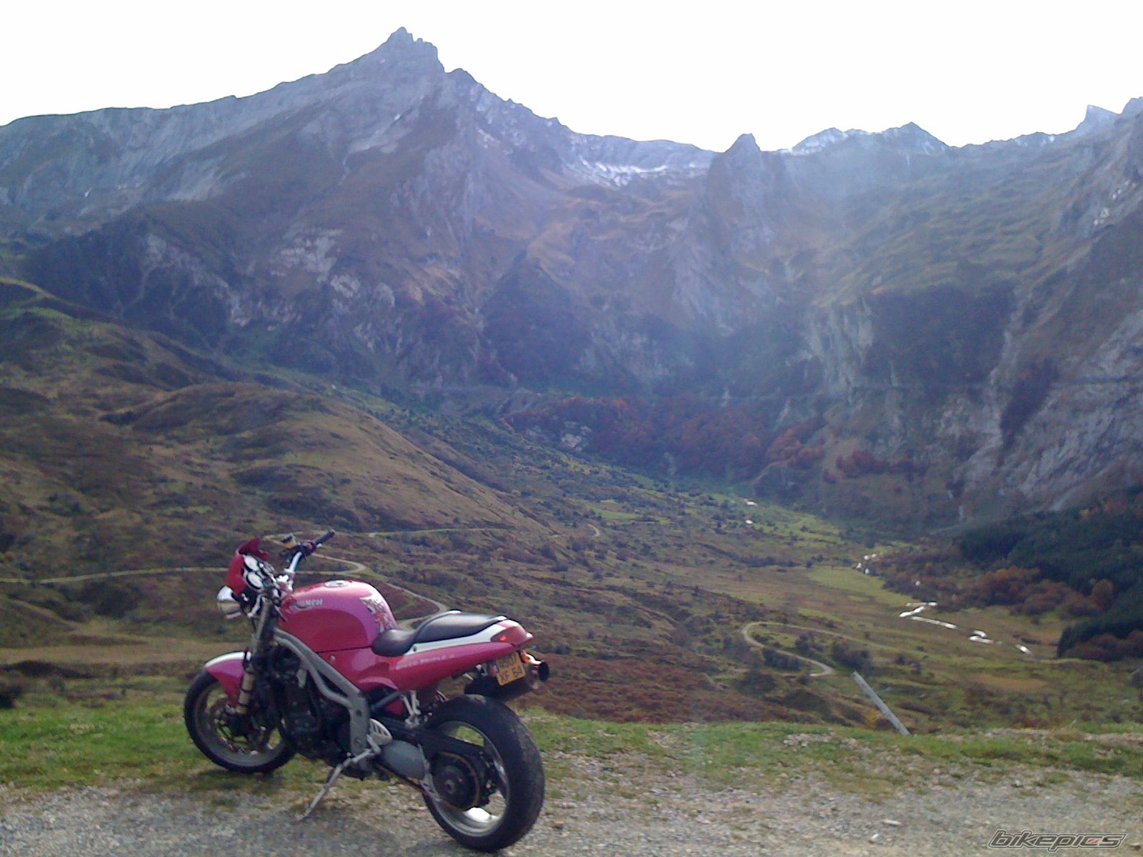 2001 TRIUMPH SPEED TRIPLE | Picture 1820104 motorcycle photo