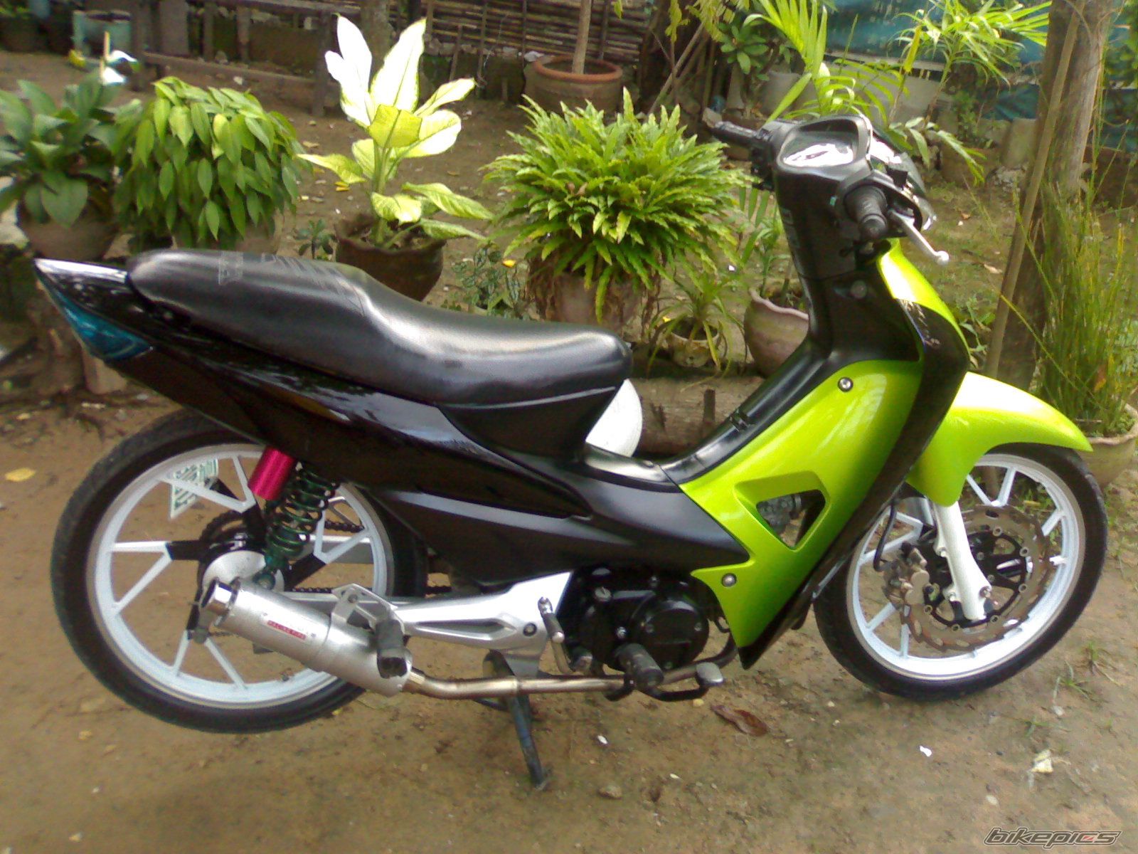 2009 HONDA WAVE 100 | Picture 1820315 motorcycle photo