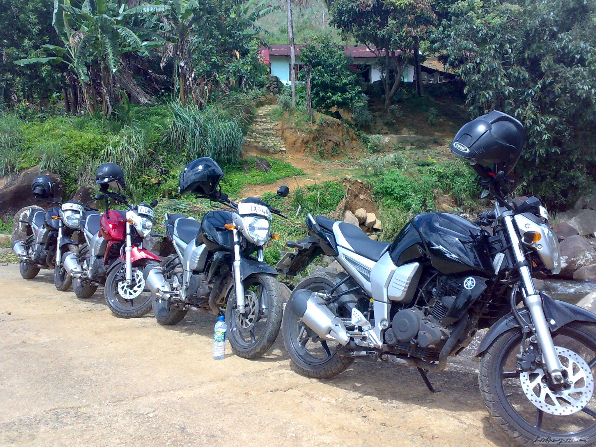 2009 YAMAHA FZ 150 | Picture 1821050 motorcycle photo