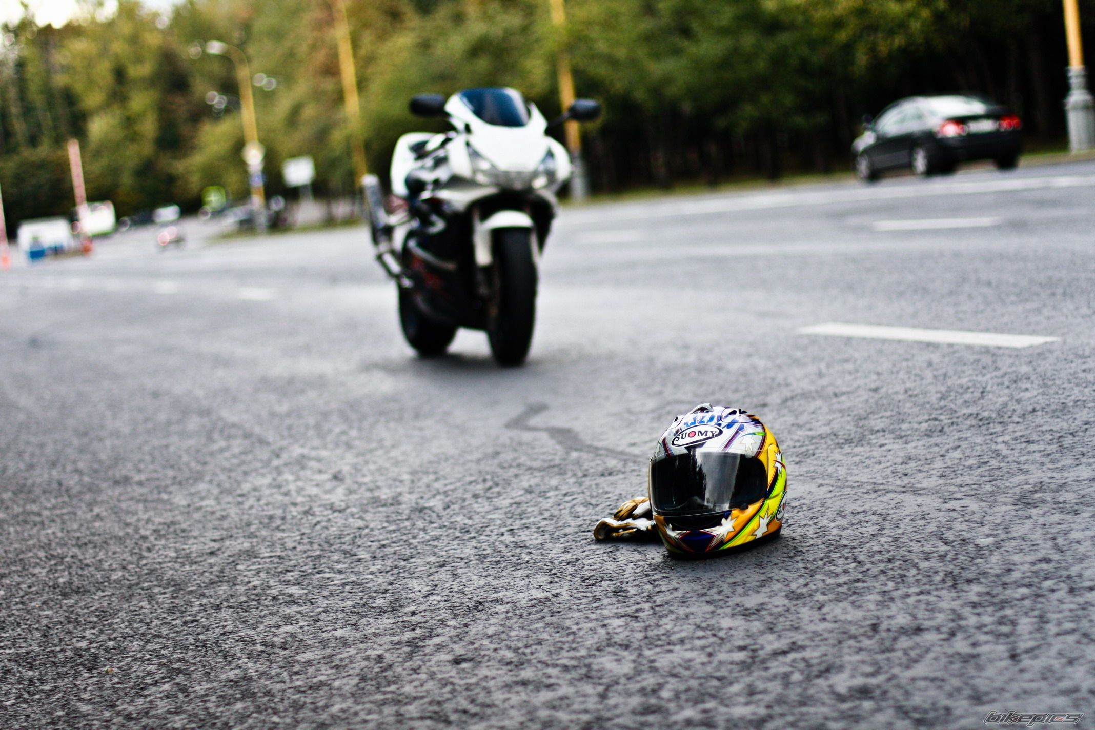 2003 HONDA CBR 900 | Picture 1821058 motorcycle photo
