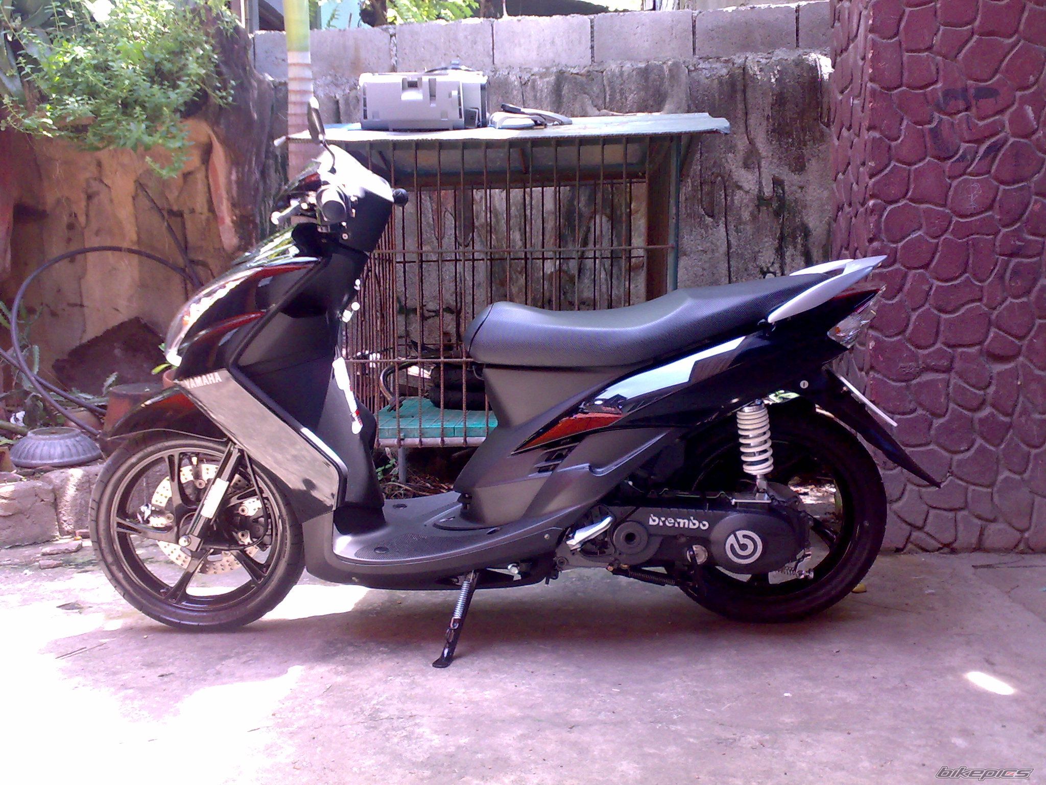 2008 HONDA HONDA DIO | Picture 1821771 motorcycle photo