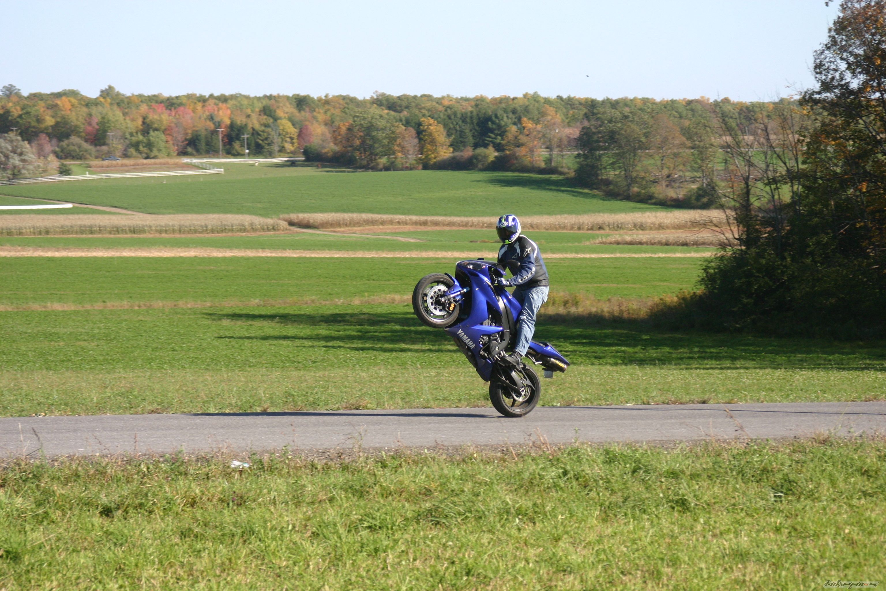 2005 YAMAHA YZF R1 | Picture 1821782 motorcycle photo