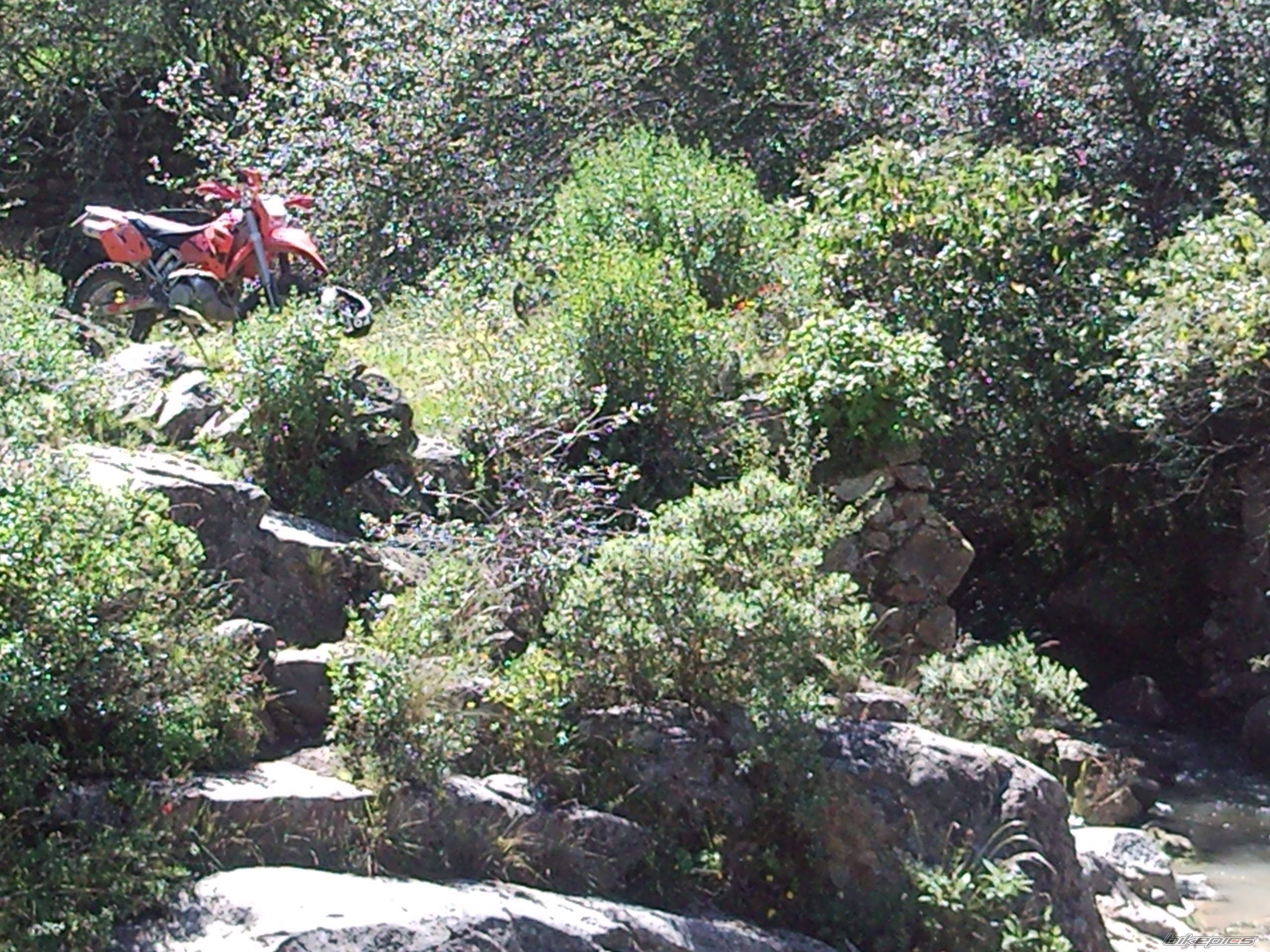 2003 KTM 300 EXC | Picture 1821800 motorcycle photo