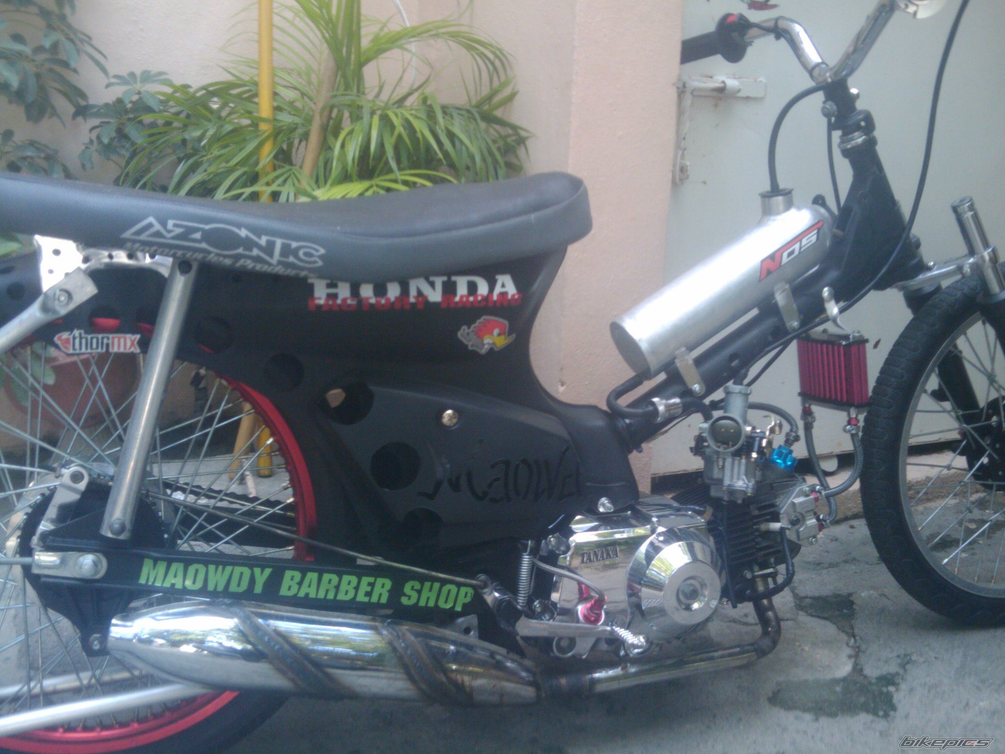 2010 HONDA C 90 | Picture 1821807 motorcycle photo