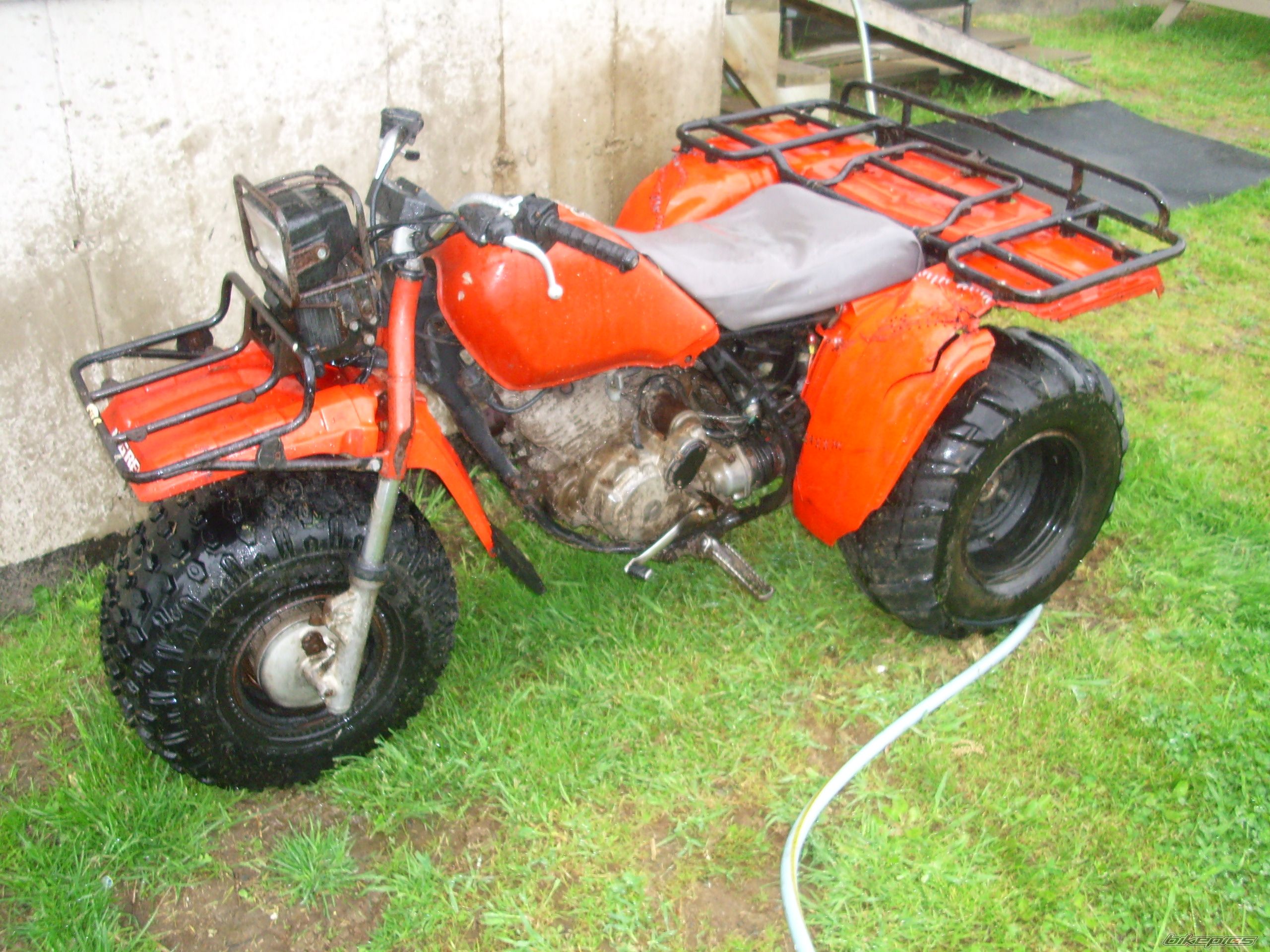 1986 HONDA BIG RED | Picture 1824810 motorcycle photo