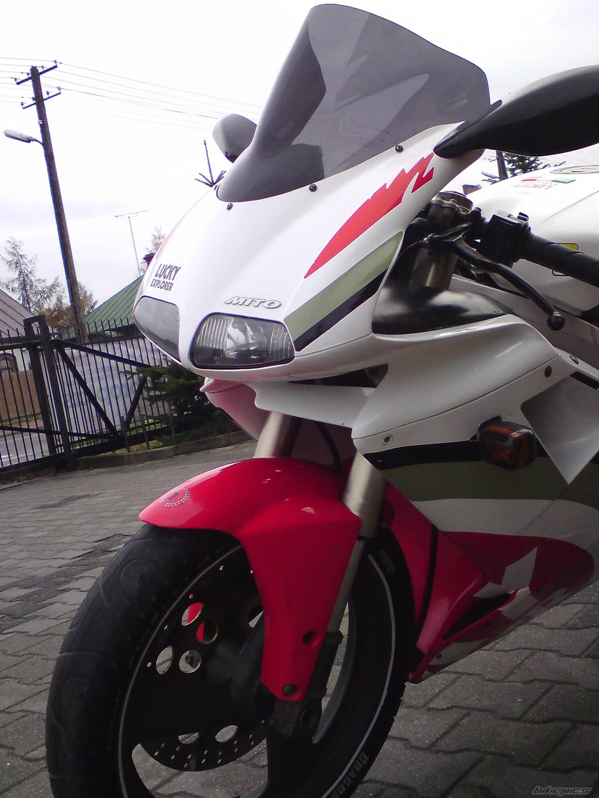 1998 CAGIVA MITO 125 | Picture 1825300 motorcycle photo