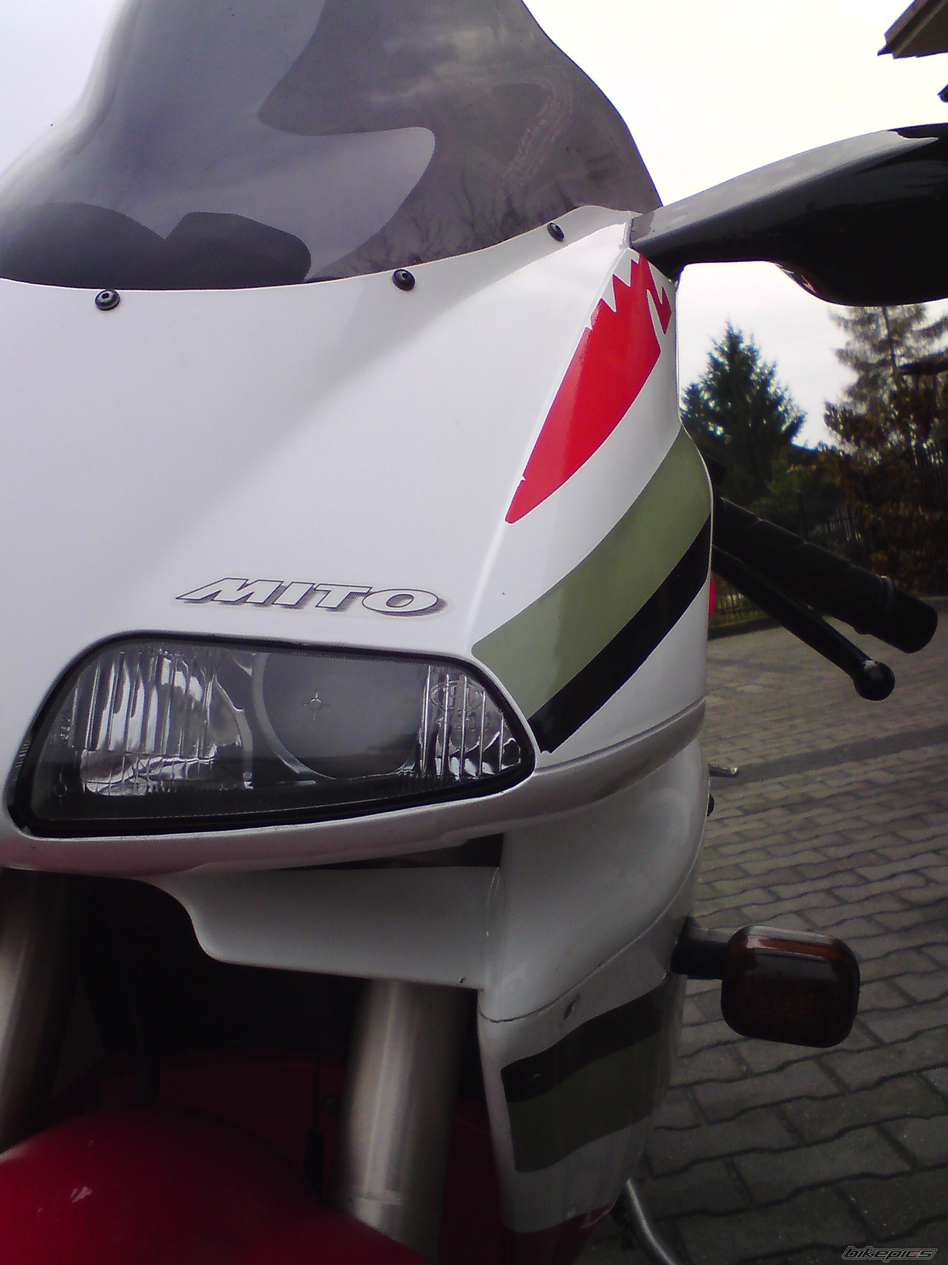 1998 CAGIVA MITO 125 | Picture 1825302 motorcycle photo