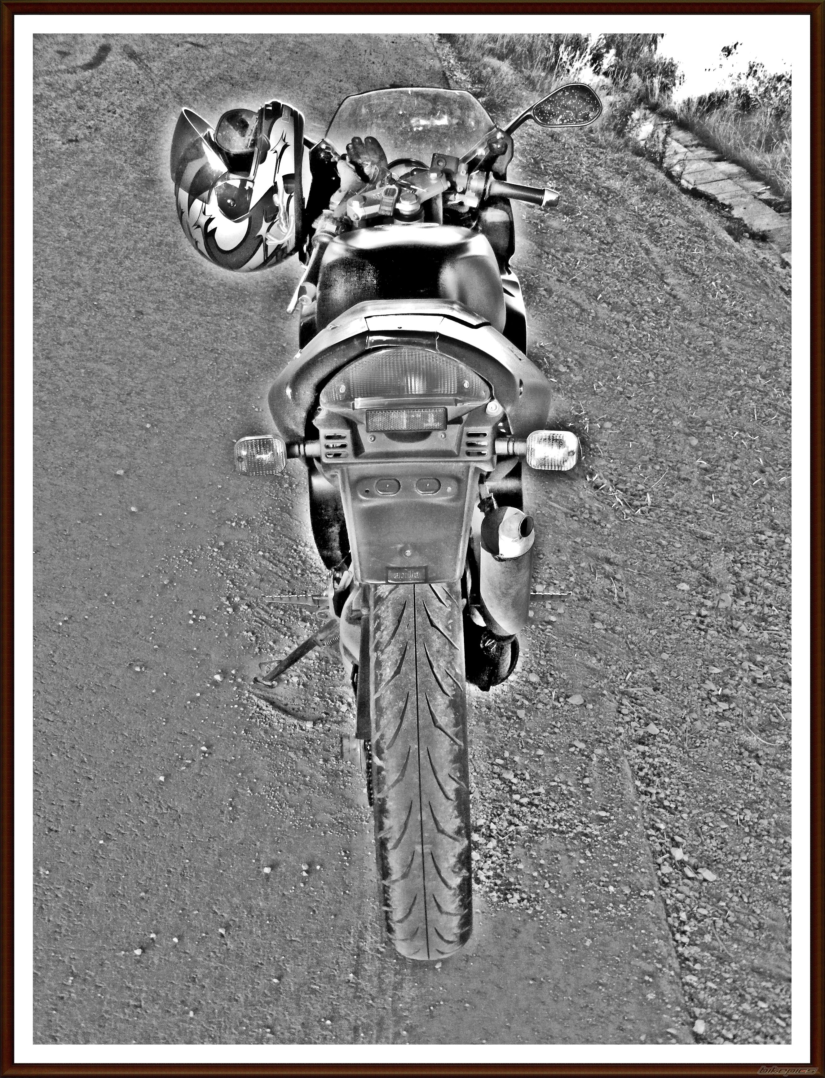 1998 APRILIA RS 50 | Picture 1825867 motorcycle photo