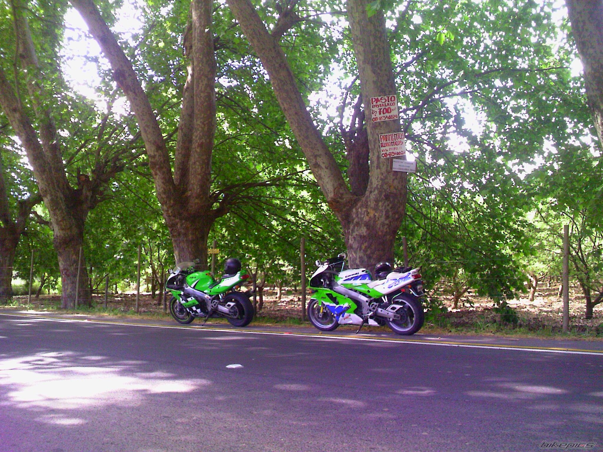 1994 KAWASAKI ZX 7R | Picture 1825873 motorcycle photo