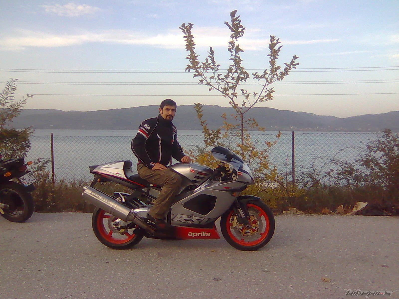 2002 APRILIA RSV 1000 MILLE | Picture 1826016 motorcycle photo