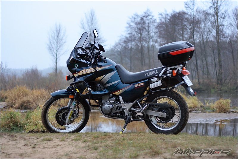1996 YAMAHA XTZ 660 | Picture 1826017 motorcycle photo