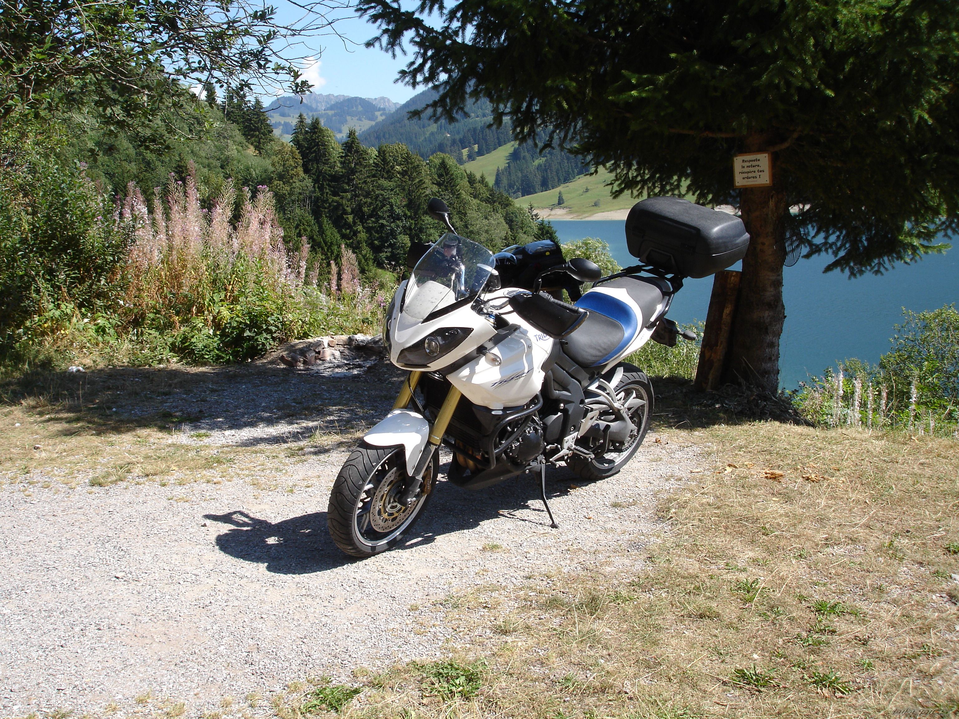 2008 TRIUMPH TIGER | Picture 1826651 motorcycle photo