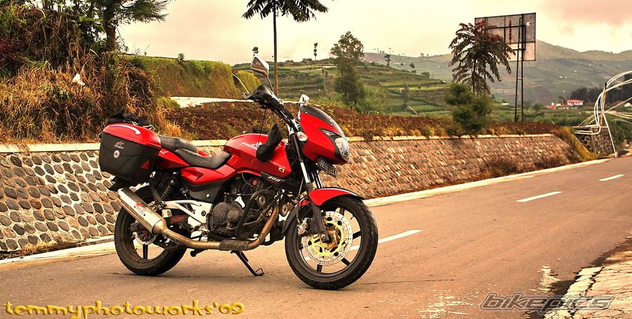 2008 BAJAJ PULSAR 200 | Picture 1826939 motorcycle photo