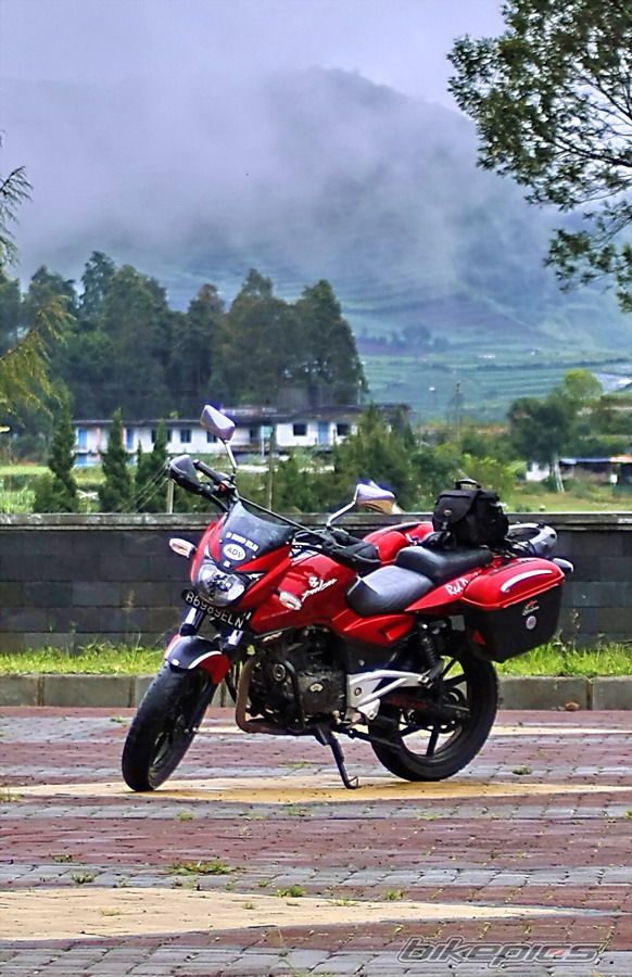 2008 BAJAJ PULSAR 200 | Picture 1826947 motorcycle photo