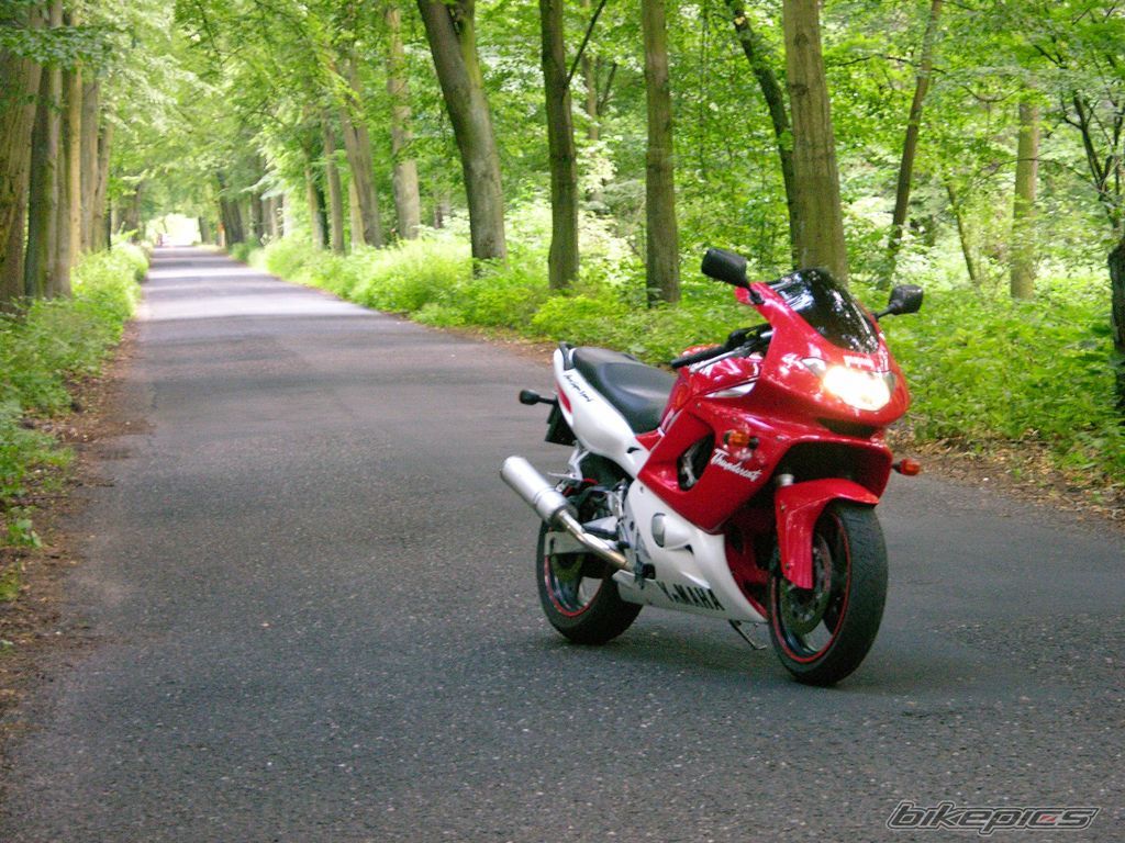 1996 YAMAHA YZF 600 | Picture 1827015 motorcycle photo