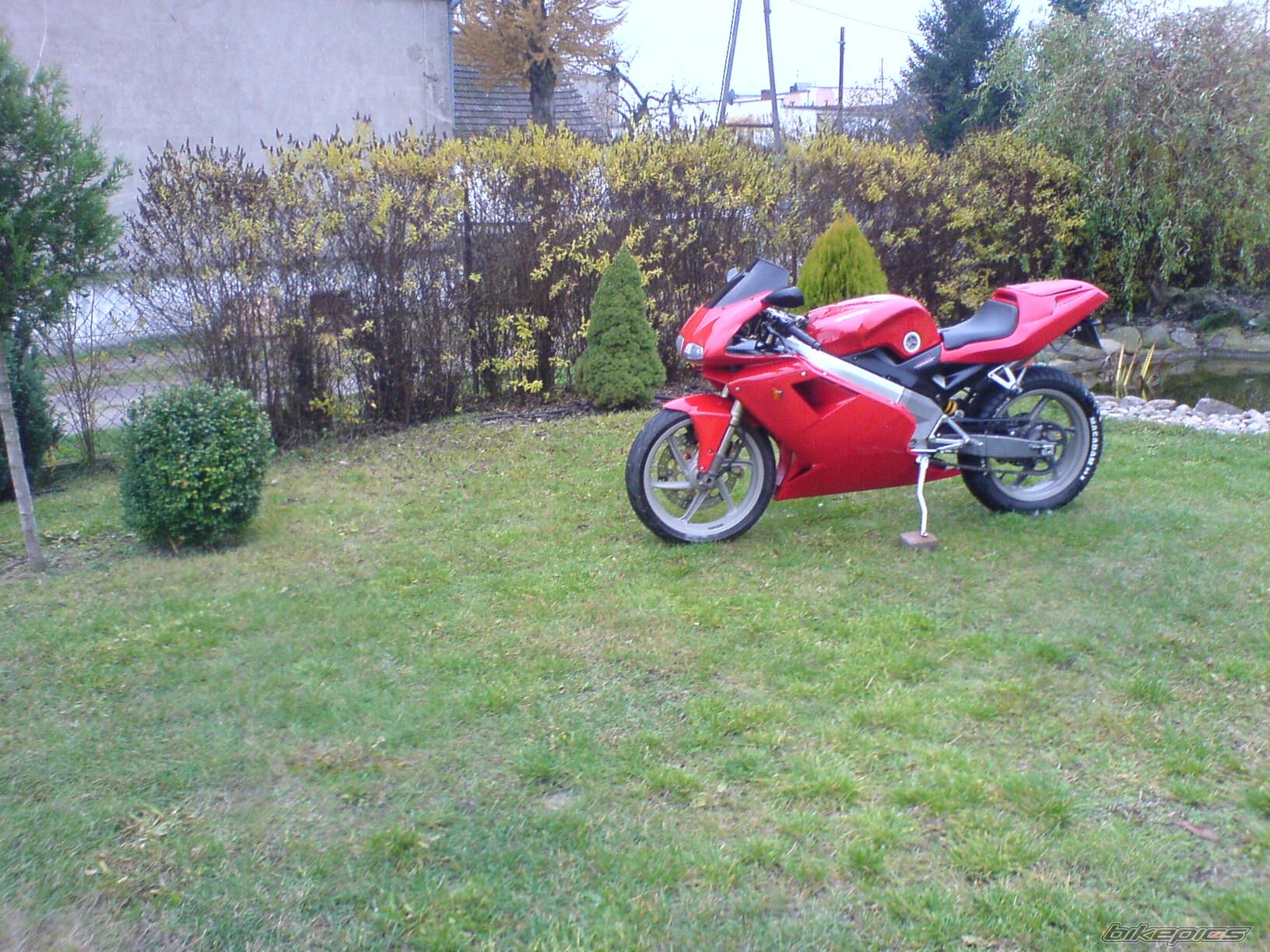 2005 CAGIVA MITO 125 | Picture 1827664 motorcycle photo