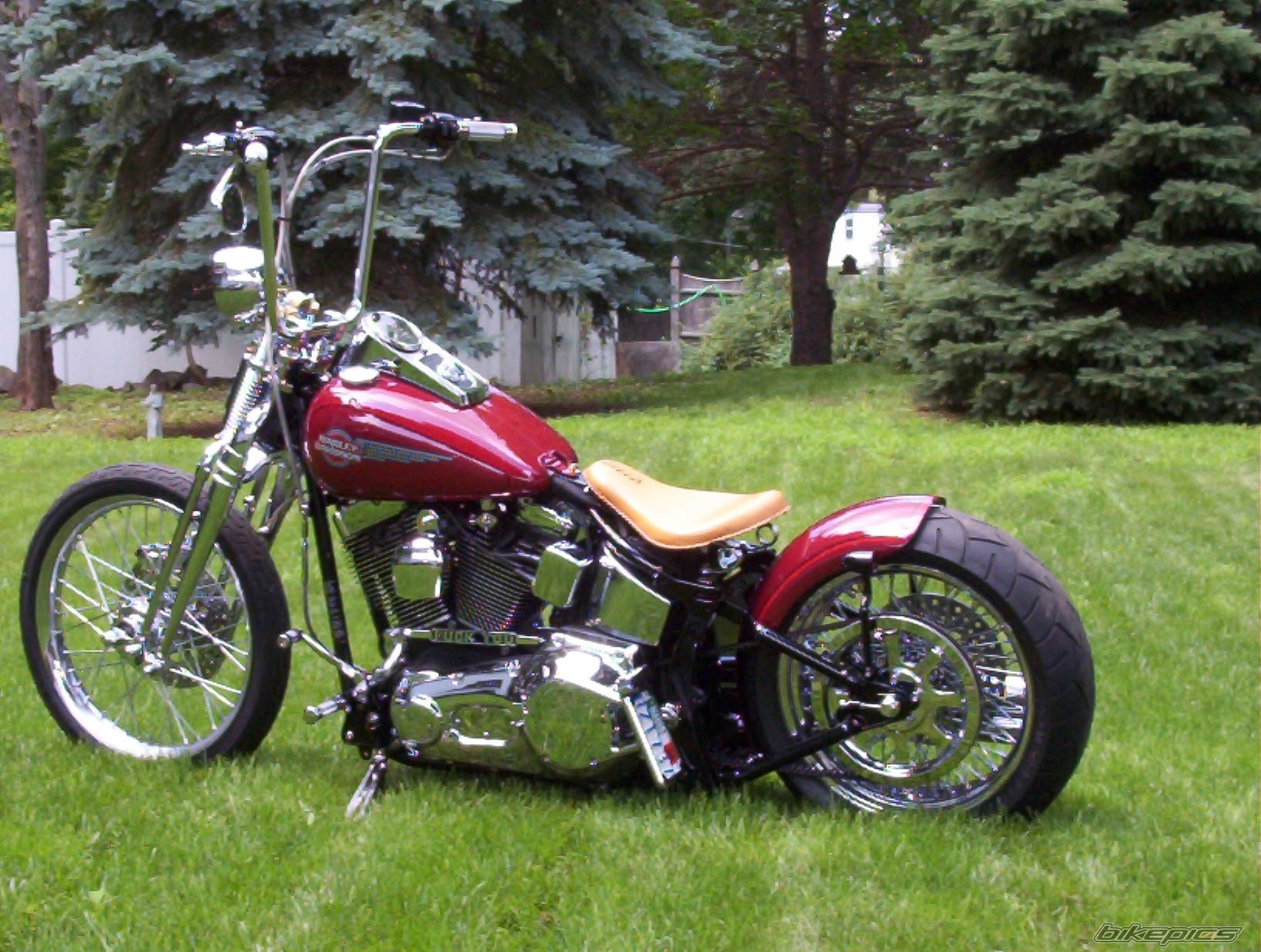 2006 HARLEY DAVIDSON FXSTS | Picture 1828730 motorcycle photo