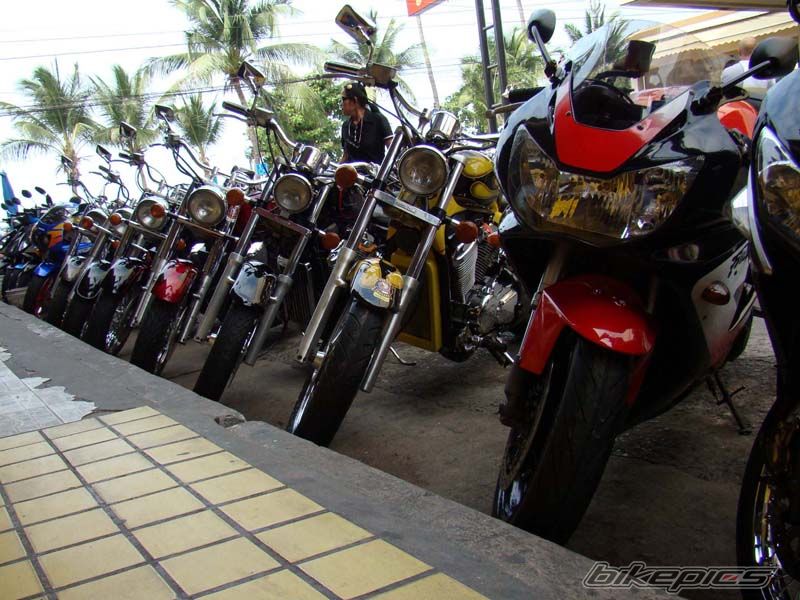 2001 HONDA CBR 900 | Picture 1829137 motorcycle photo