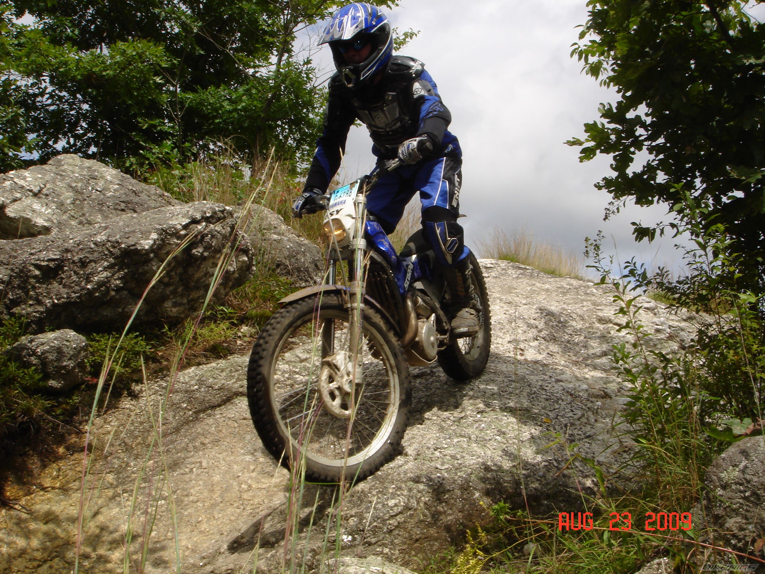 2002 SCORPA SY 250 | Picture 1829338 motorcycle photo