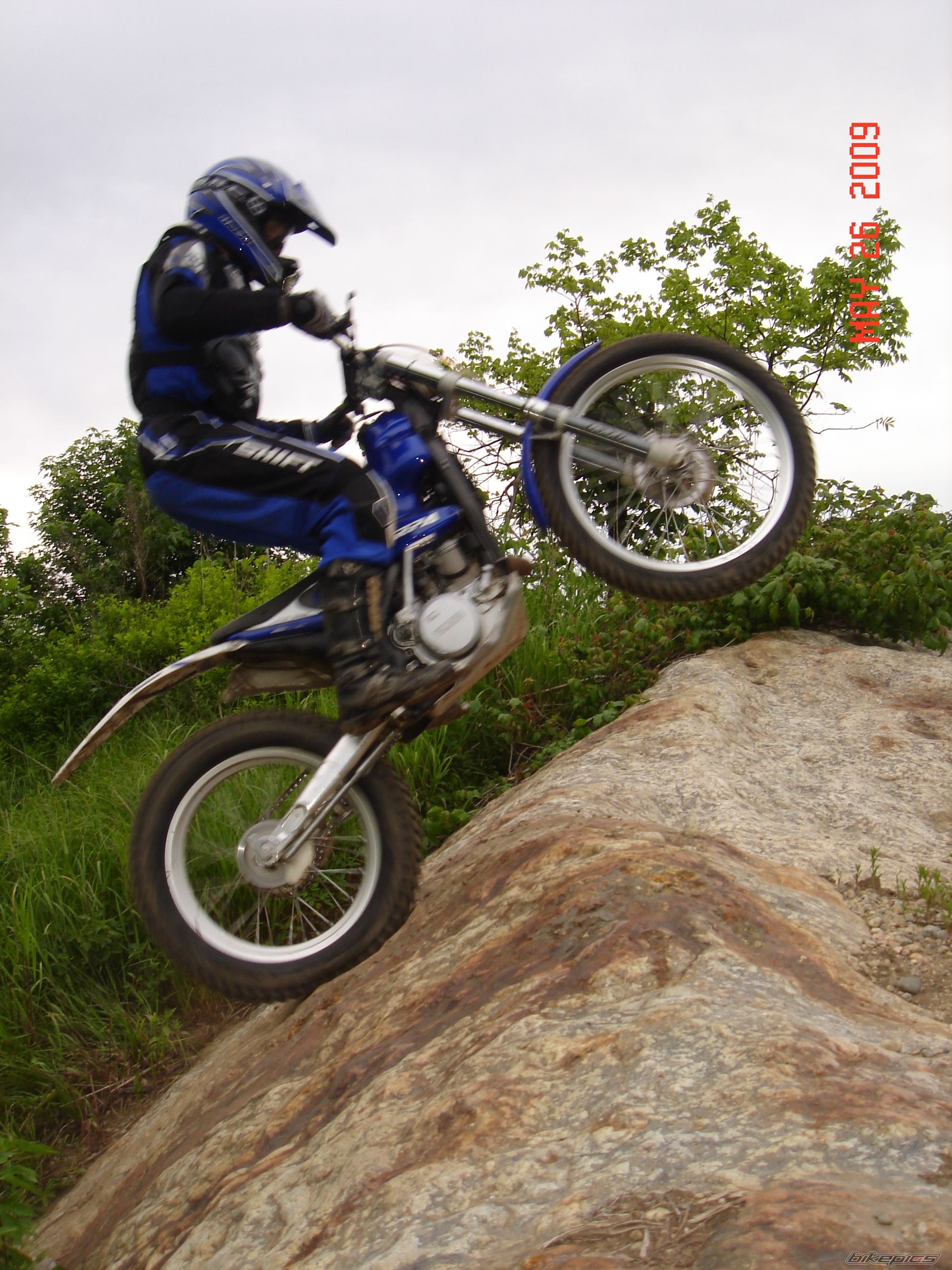 2002 SCORPA SY 250 | Picture 1829339 motorcycle photo