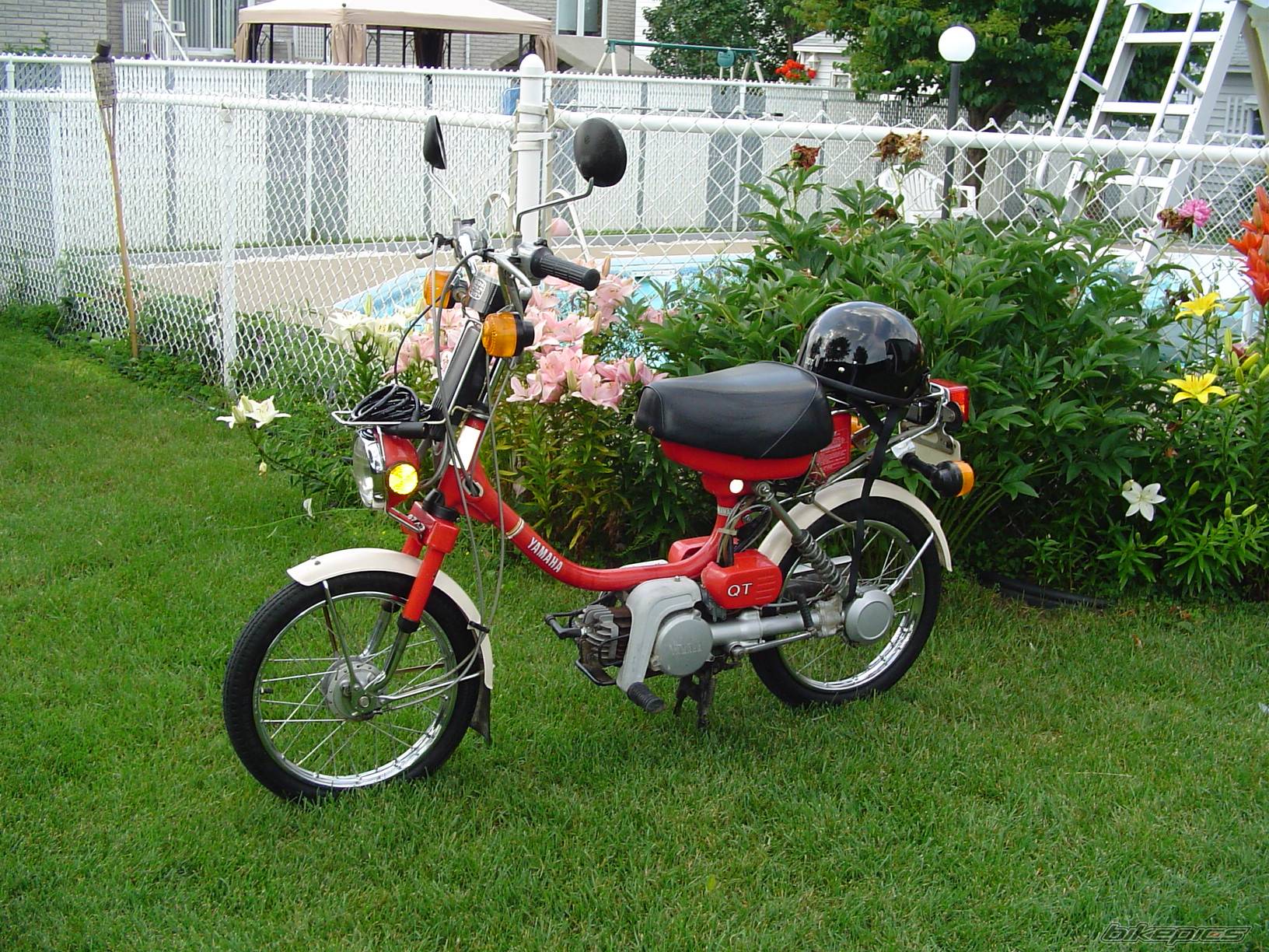 1979 YAMAHA YAMAHOPPER QT 50 | Picture 182944 motorcycle photo