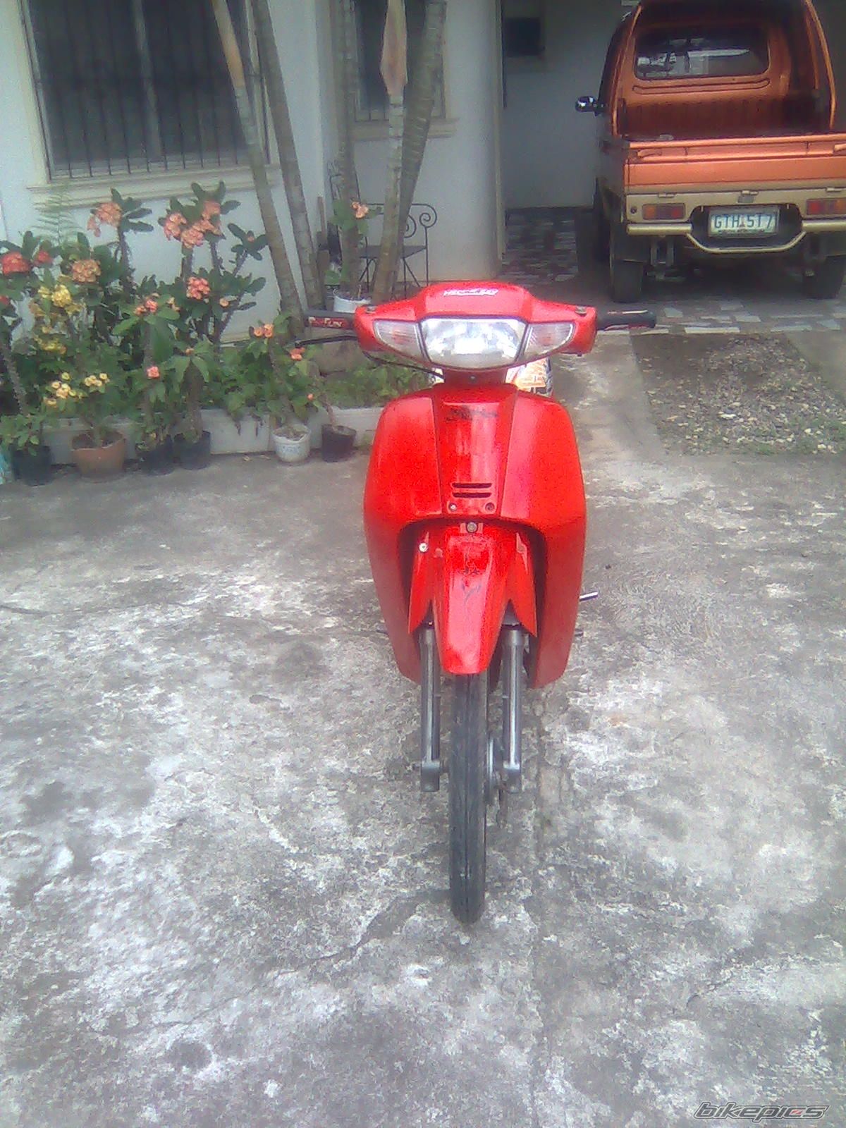 2008 HONDA HONDA DREAM 110 | Picture 1829512 motorcycle photo