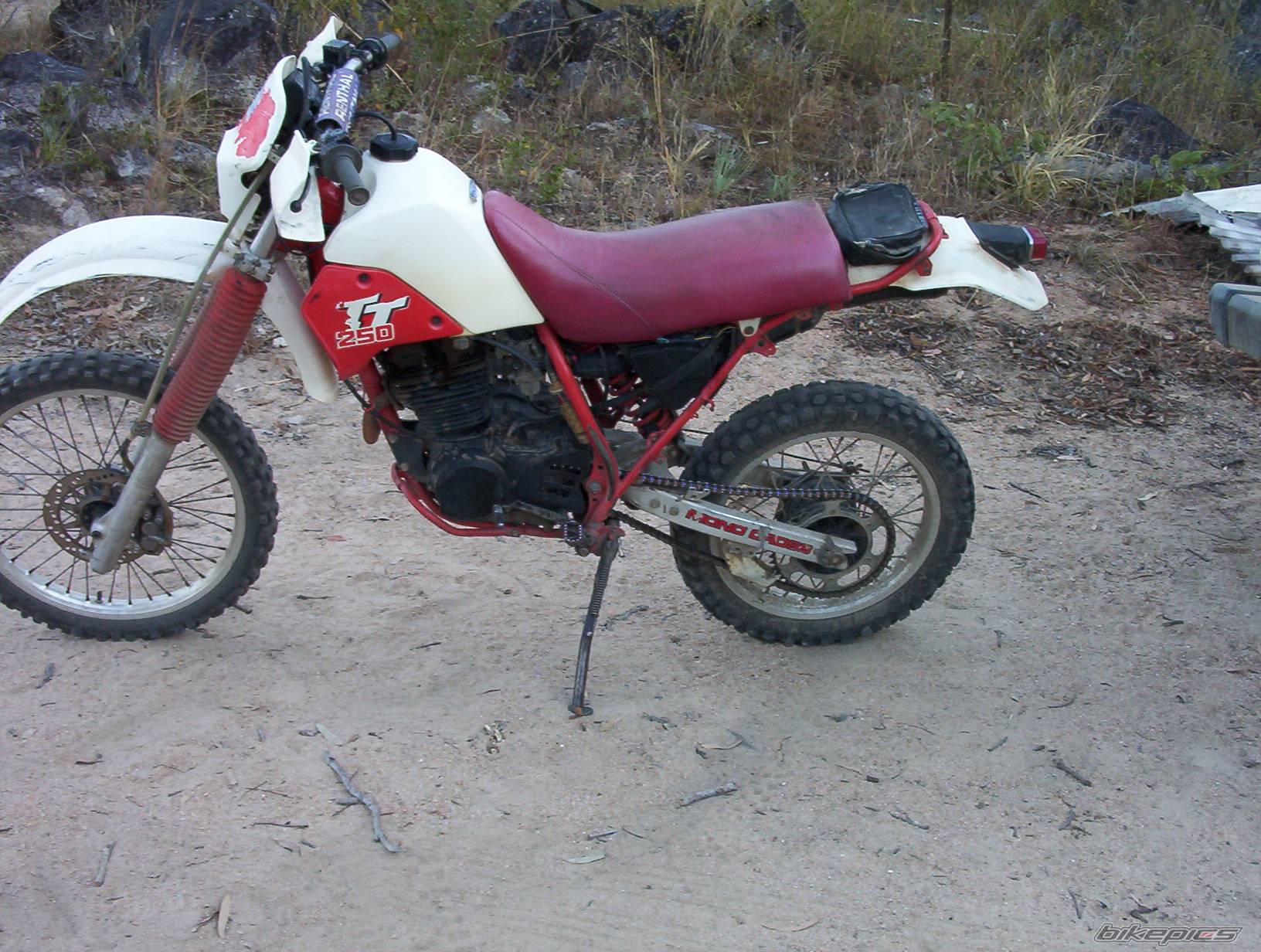 1987 YAMAHA TTR 250 | Picture 182985 motorcycle photo