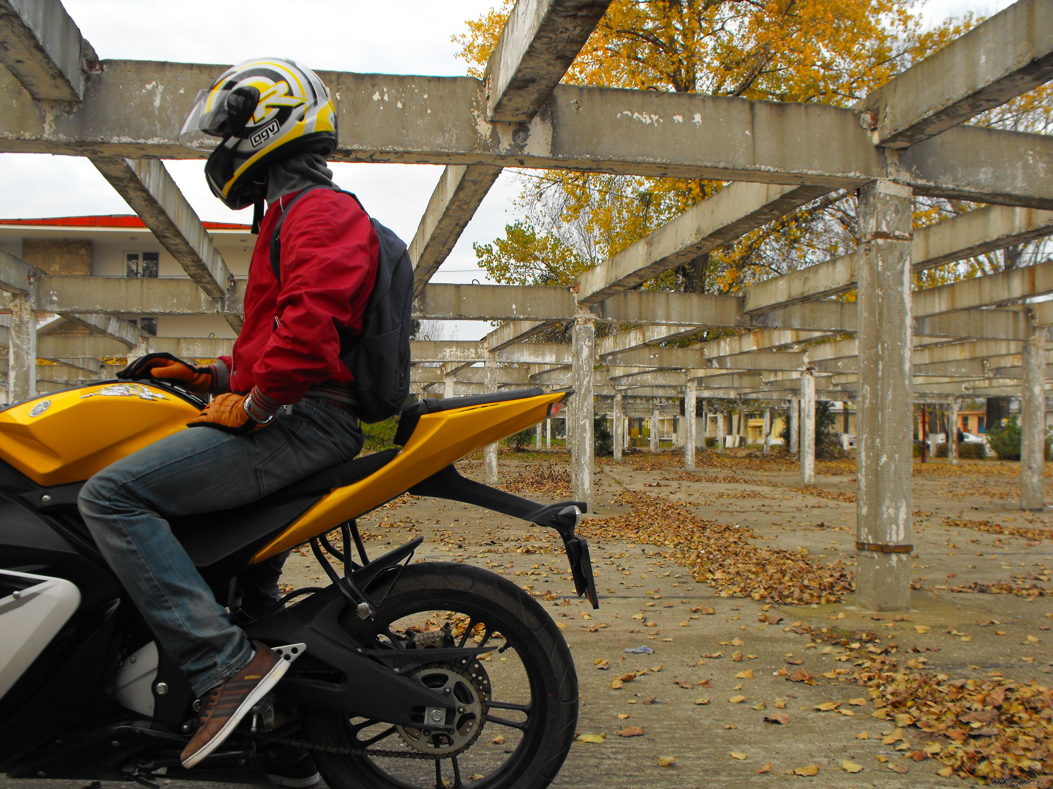2008 YAMAHA YZF R125 | Picture 1829934 motorcycle photo