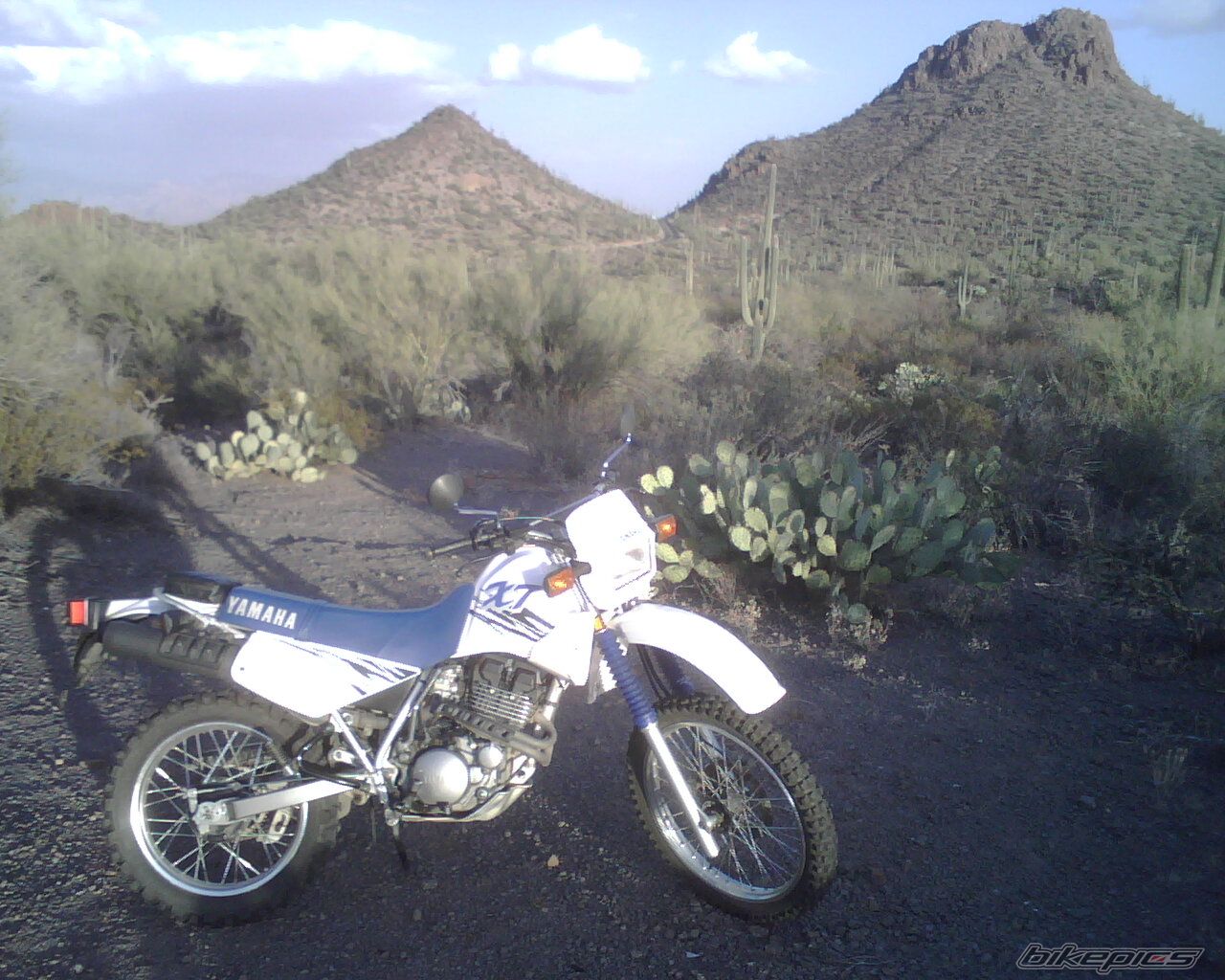 1999 YAMAHA XT 350 | Picture 1830206 motorcycle photo