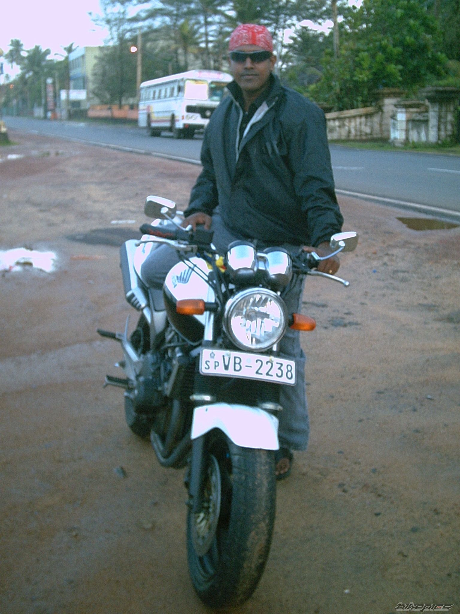 2008 HONDA CB 250 HORNET | Picture 1830528 motorcycle photo