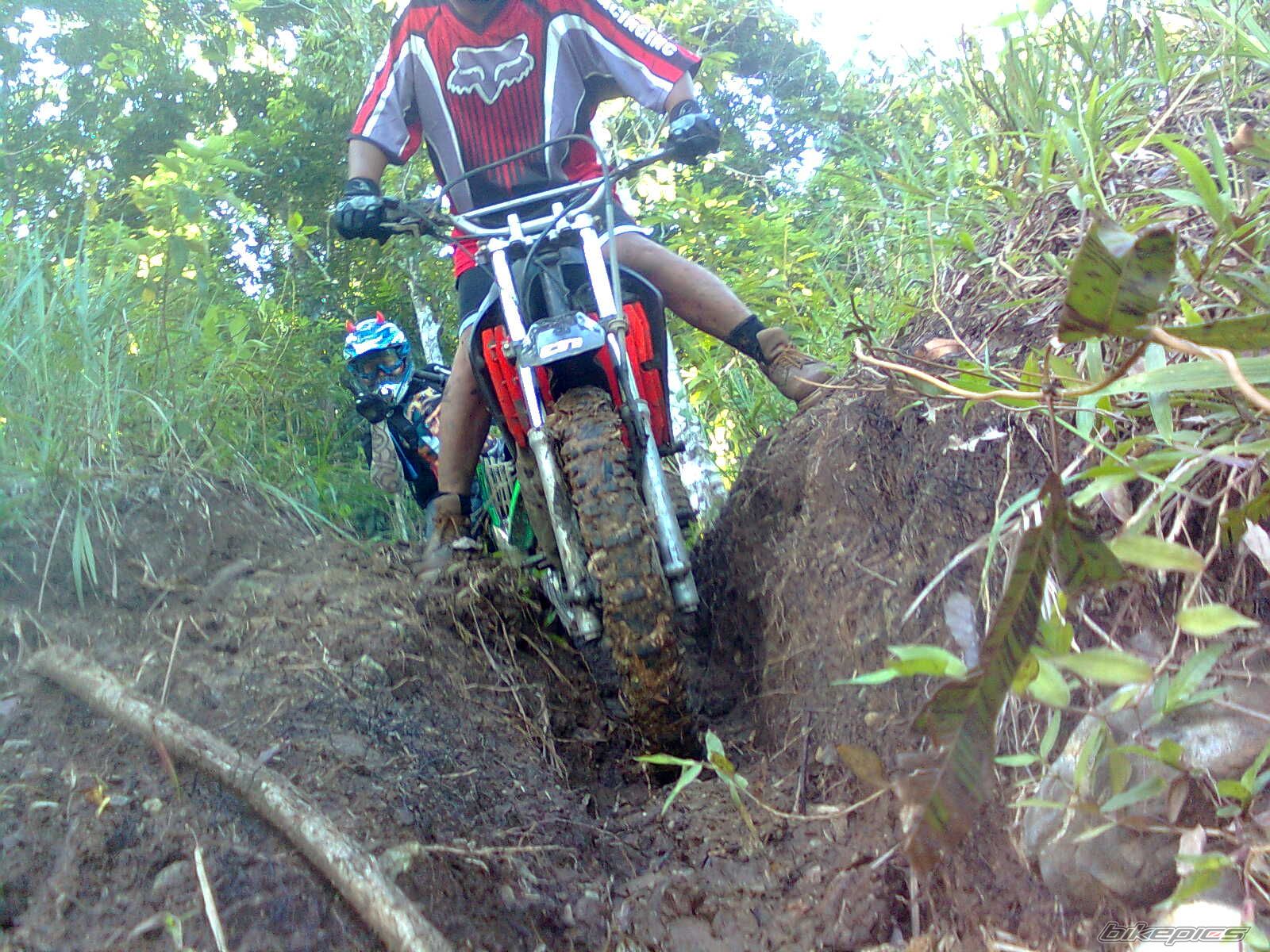 1997 KAWASAKI KMX 125 | Picture 1830638 motorcycle photo