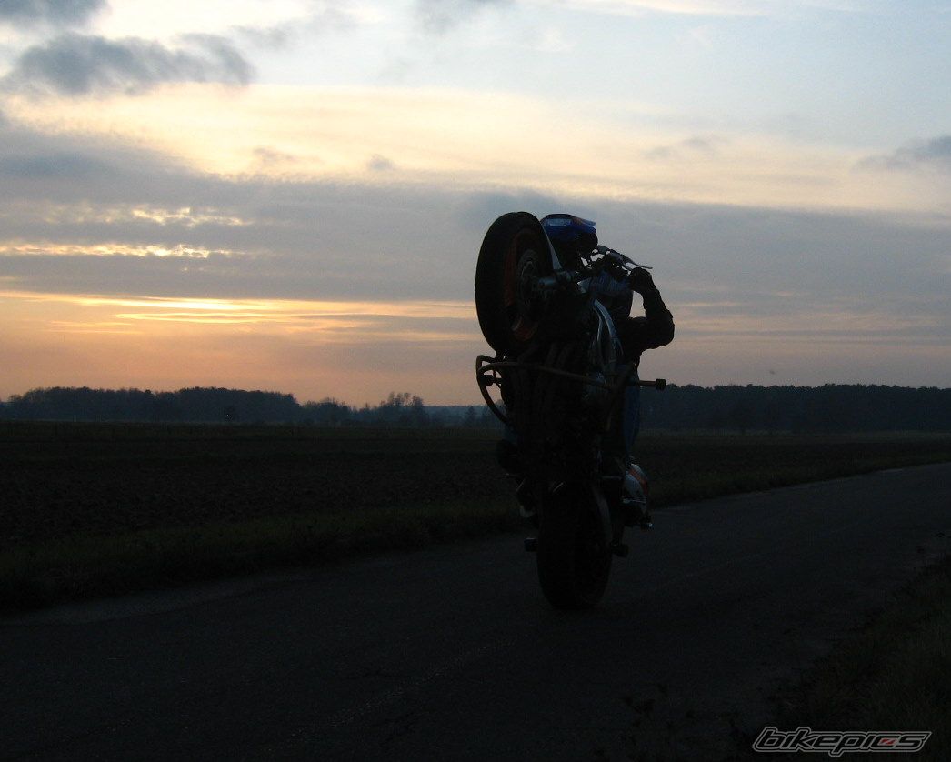 2000 HONDA CBR 600 | Picture 1830709 motorcycle photo