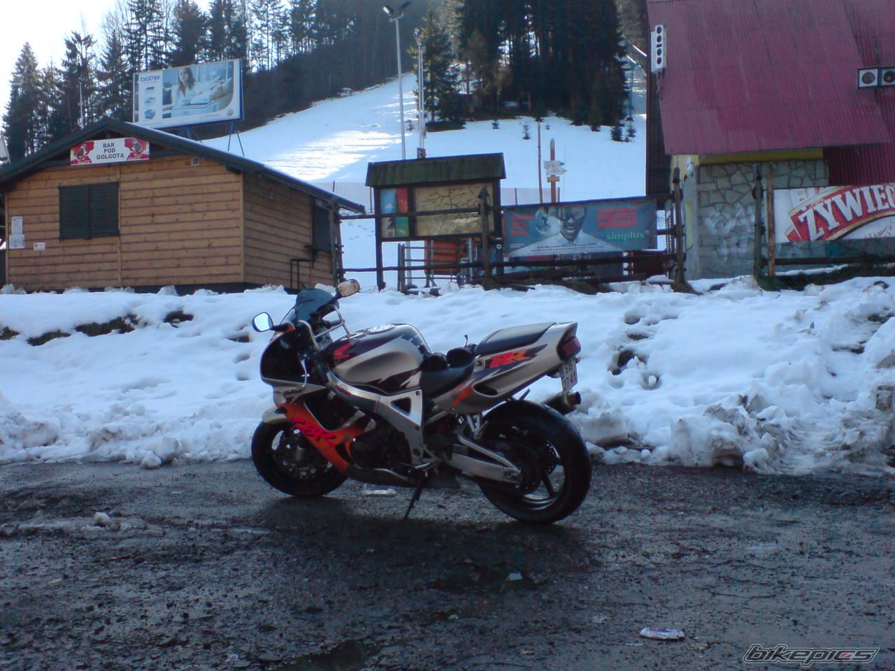 1995 HONDA CBR 900 | Picture 1830747 motorcycle photo