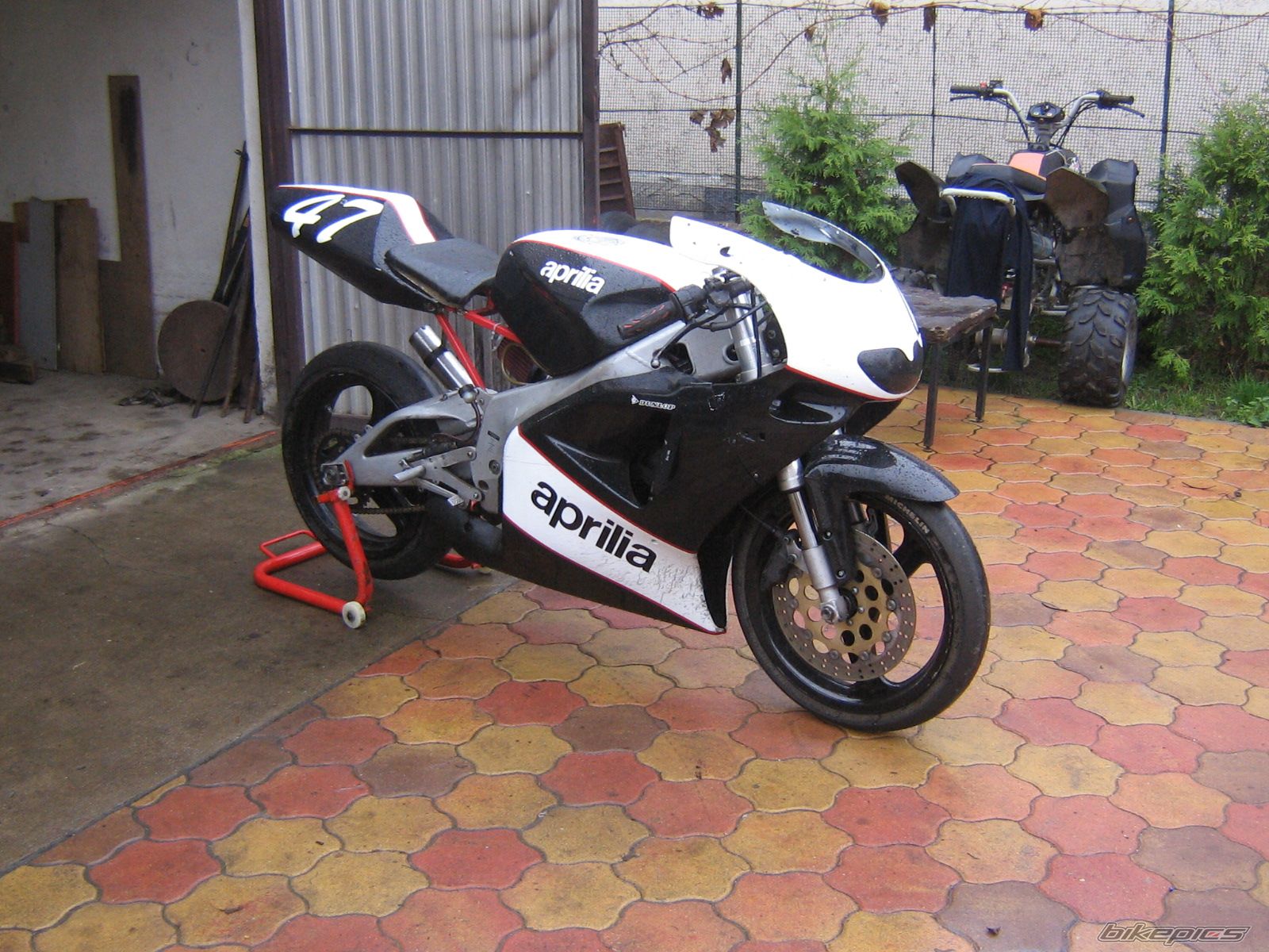 1995 APRILIA RS 125 | Picture 1830959 motorcycle photo