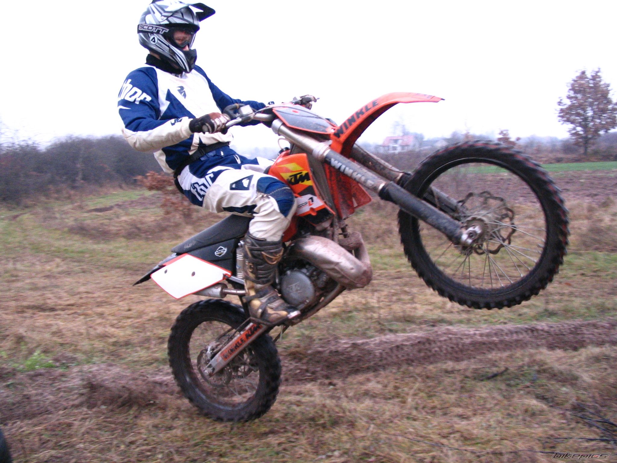 2004 KTM 250 SX | Picture 1831040 motorcycle photo