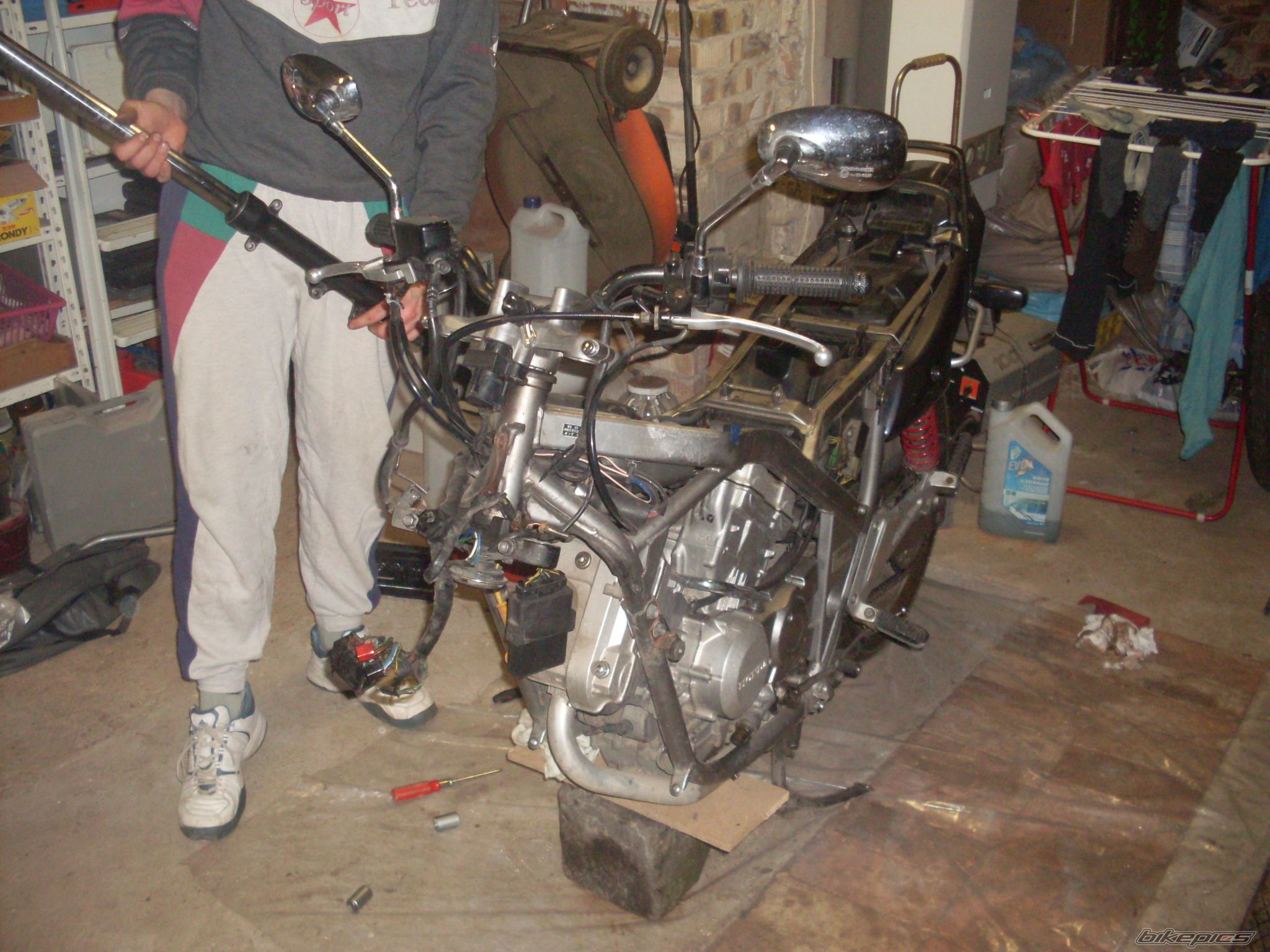 1996 HONDA VT 250 F | Picture 1831086 motorcycle photo