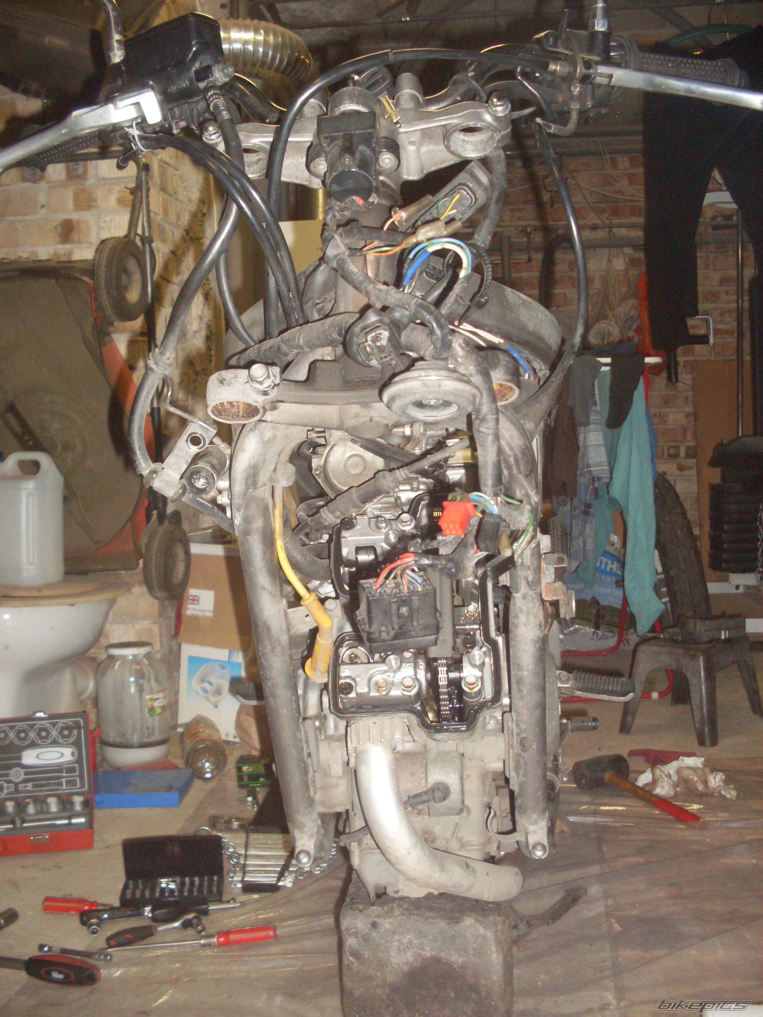 1996 HONDA VT 250 F | Picture 1831090 motorcycle photo