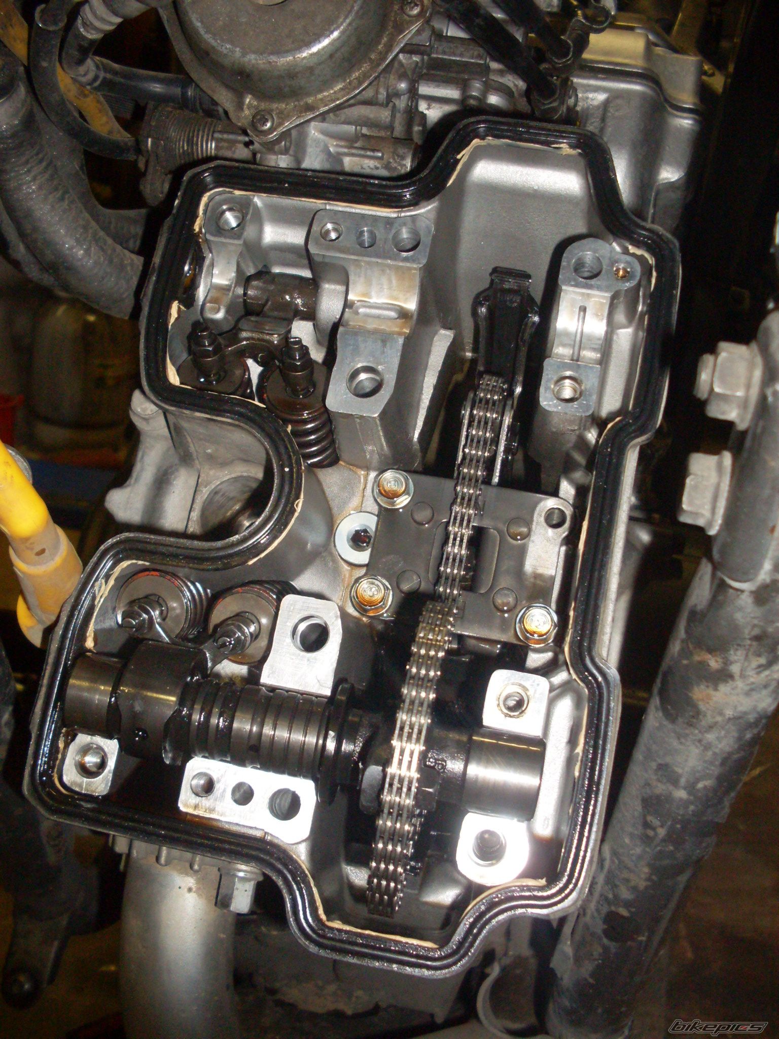 1996 HONDA VT 250 F | Picture 1831092 motorcycle photo