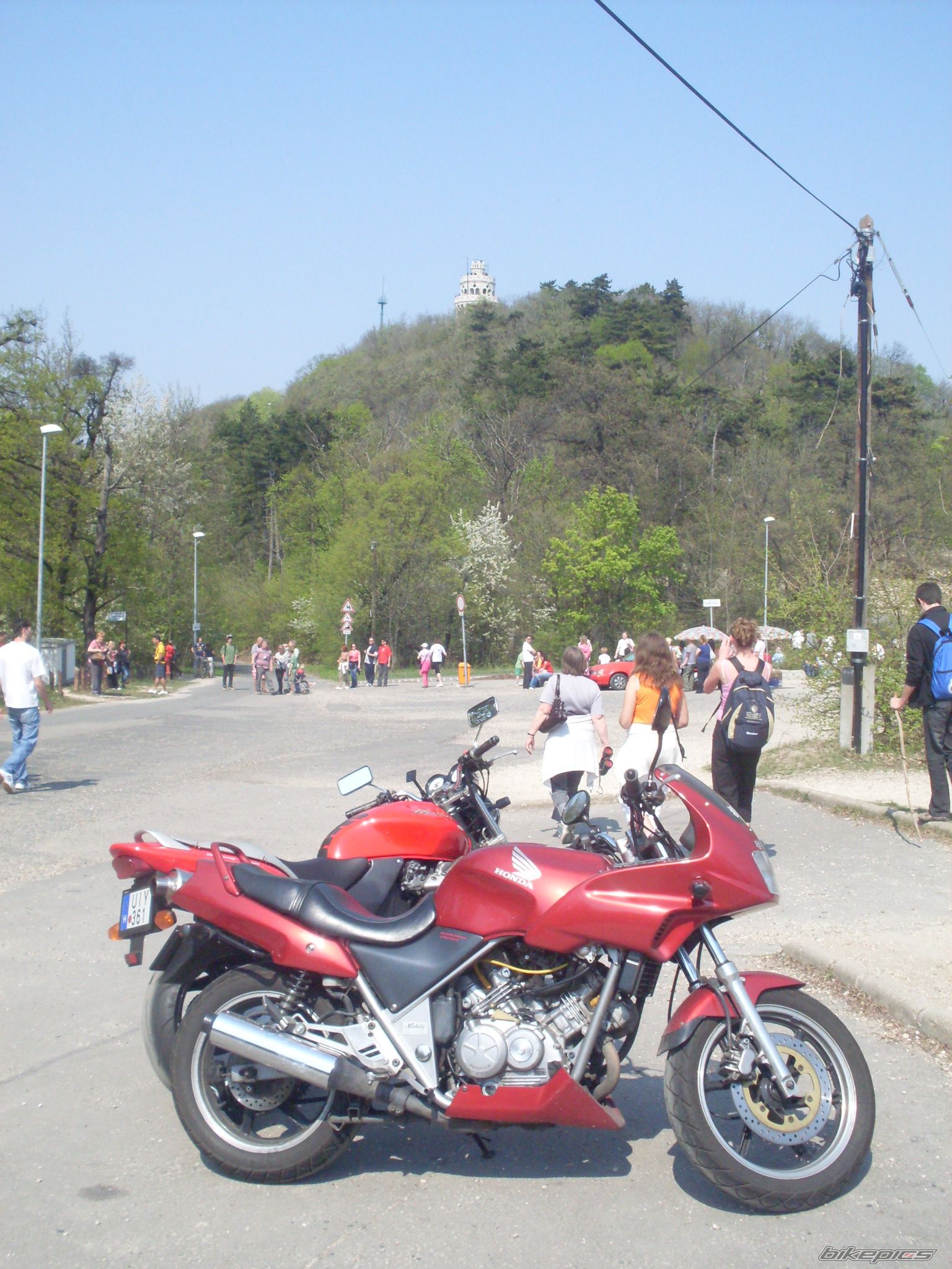 1996 HONDA VT 250 F | Picture 1831102 motorcycle photo