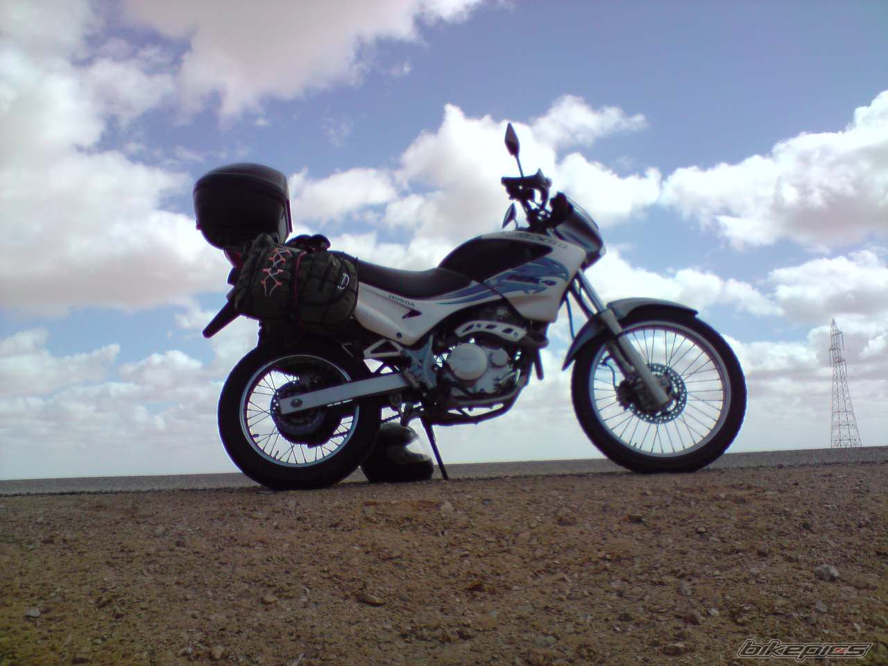 2008 HONDA NX 4 FALCON | Picture 1831128 motorcycle photo