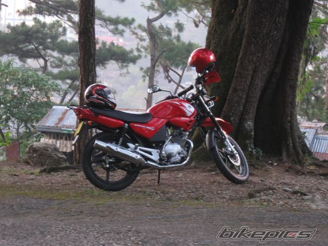 2009 YAMAHA YBR 125 | Picture 1831333 motorcycle photo