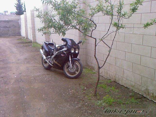 1989 SUZUKI GSX R 400 | Picture 1831432 motorcycle photo