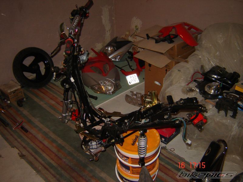 2006 TGB RACING 50 XTREME | Picture 1831598 motorcycle photo