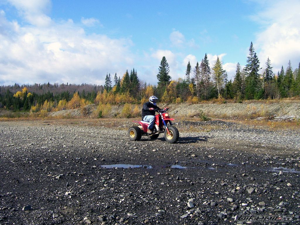 1985 HONDA ATC 250 | Picture 1831949 motorcycle photo