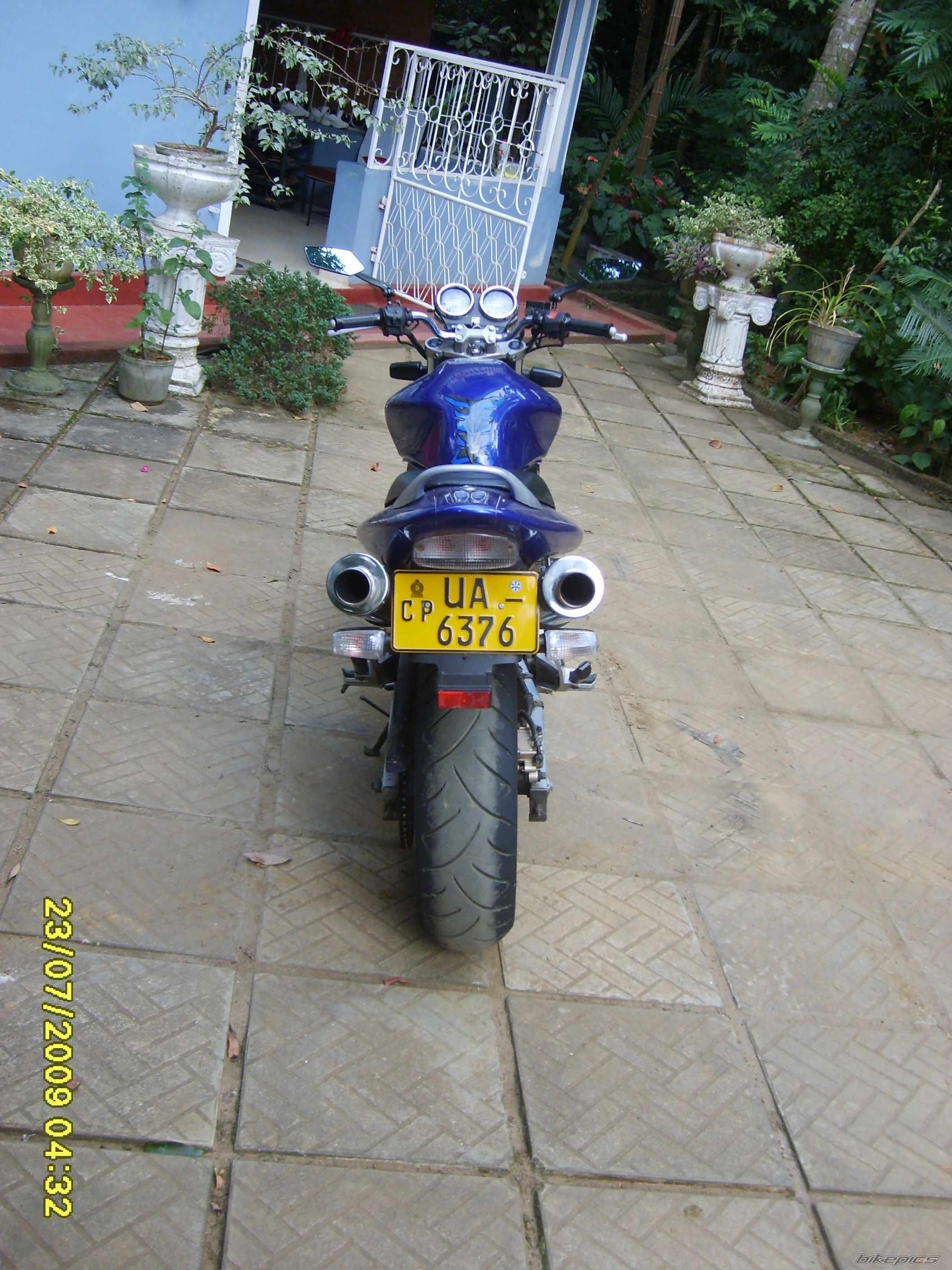 2002 HONDA CB 250 HORNET | Picture 1832218 motorcycle photo