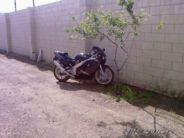 1989 SUZUKI GSX R 400 | Picture 1832262 motorcycle photo