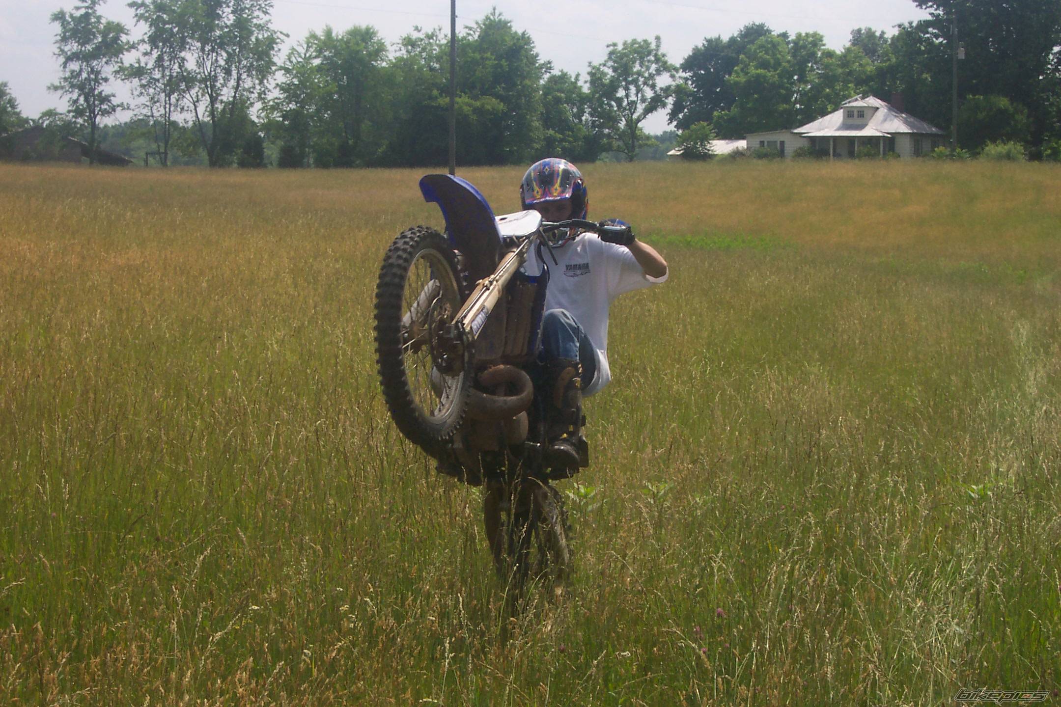1997 YAMAHA YZ 250 | Picture 183239 motorcycle photo